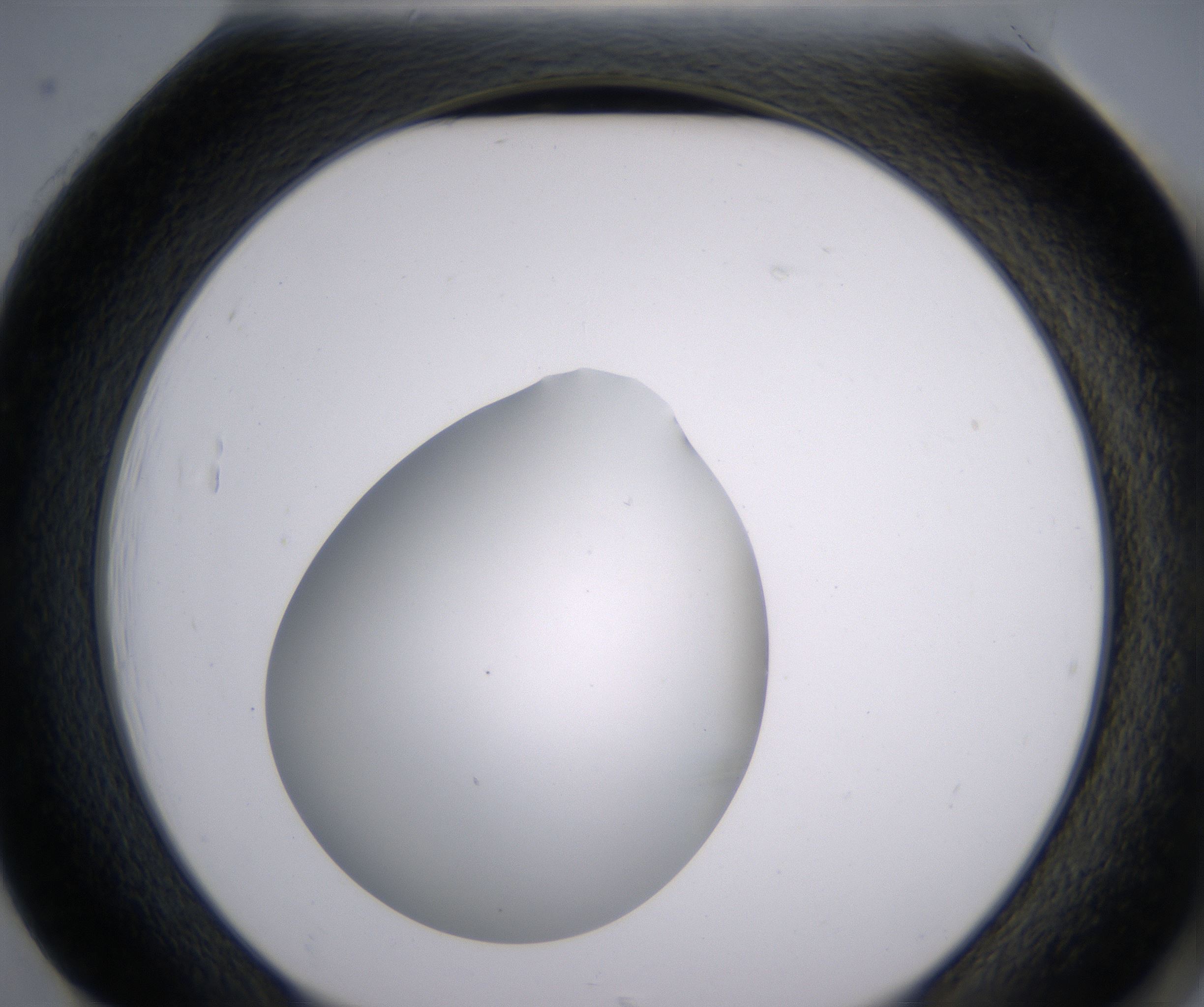H1_HighResolution_Clear_2.jpg