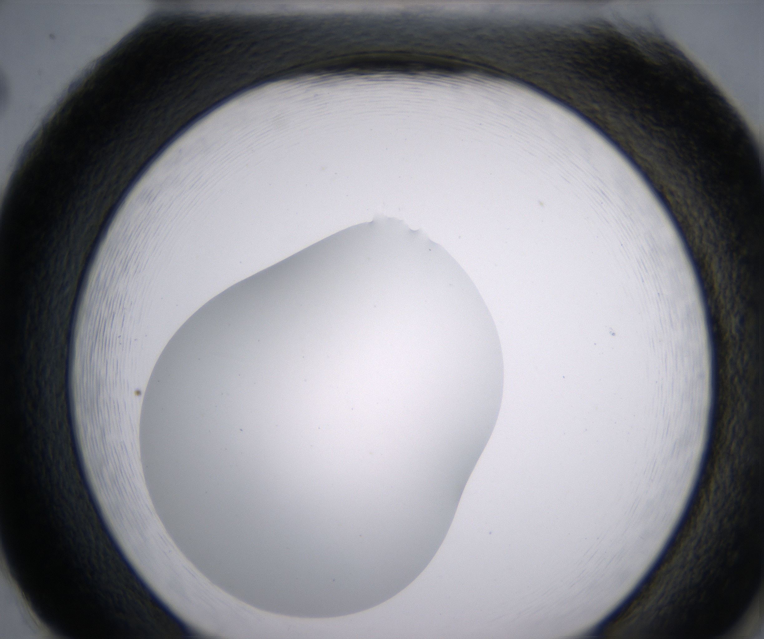 H2_HighResolution_Clear_2.jpg