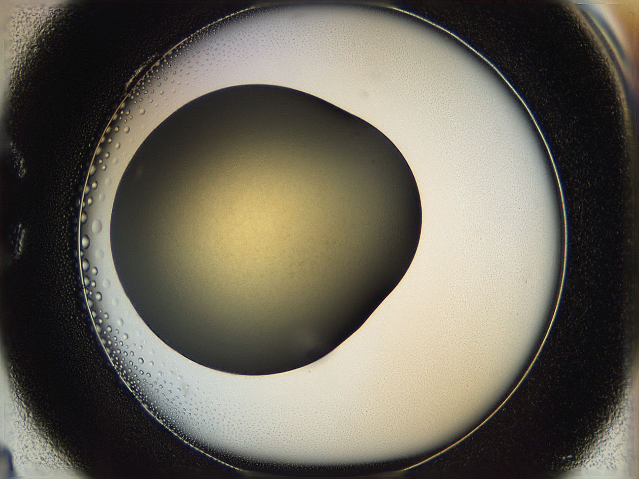 05k0_C4_ImagerDefaults_0.jpg