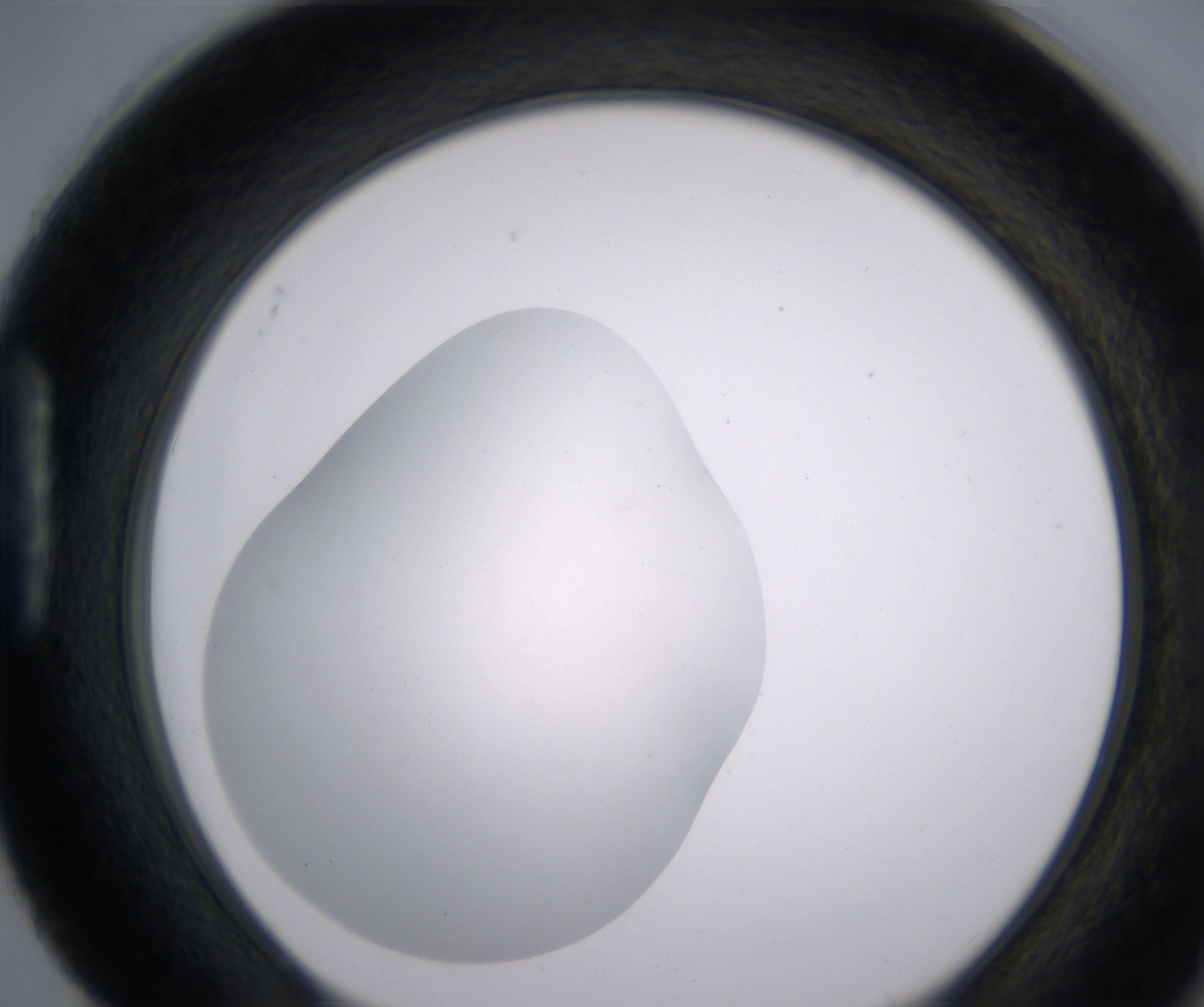 H4_HighResolution_Clear_1.jpg