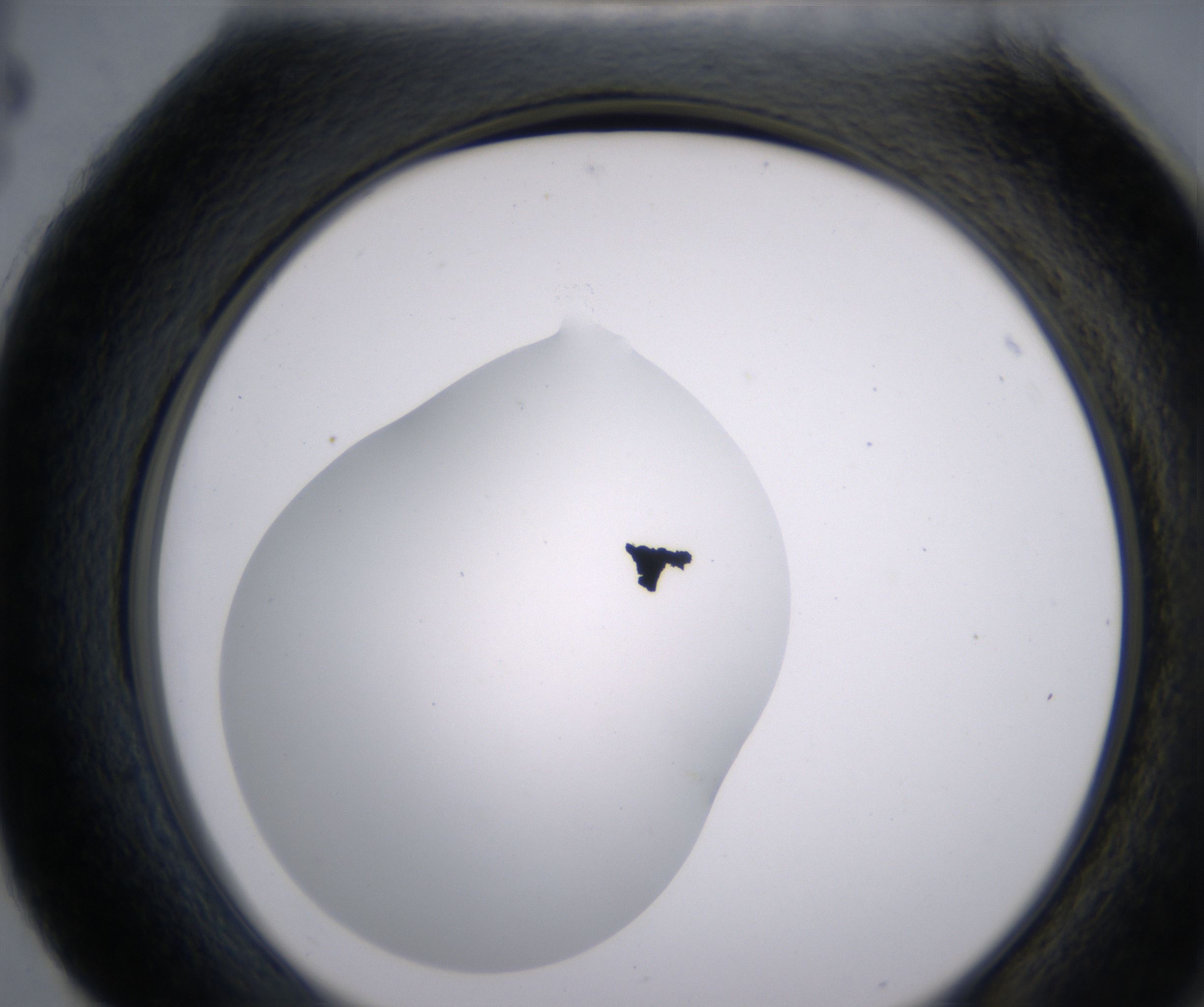 H4_HighResolution_Clear_2.jpg