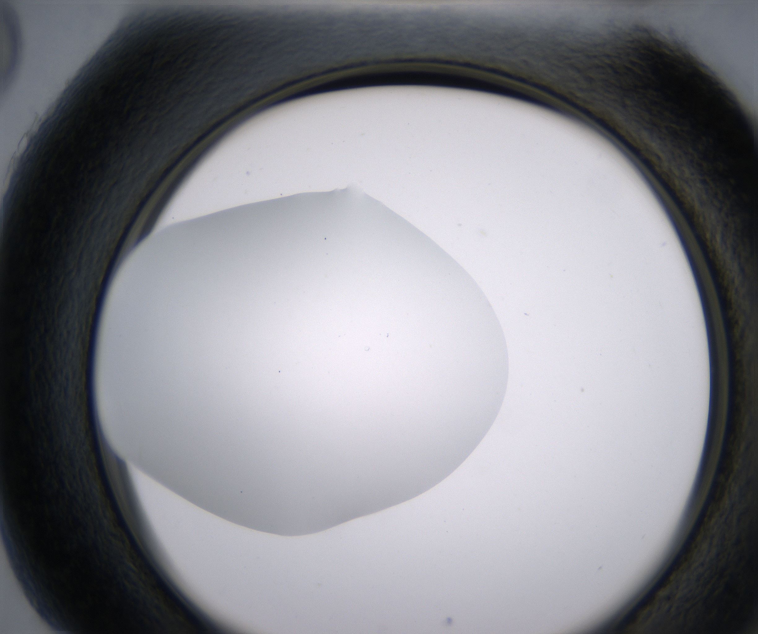 H5_HighResolution_Clear_2.jpg