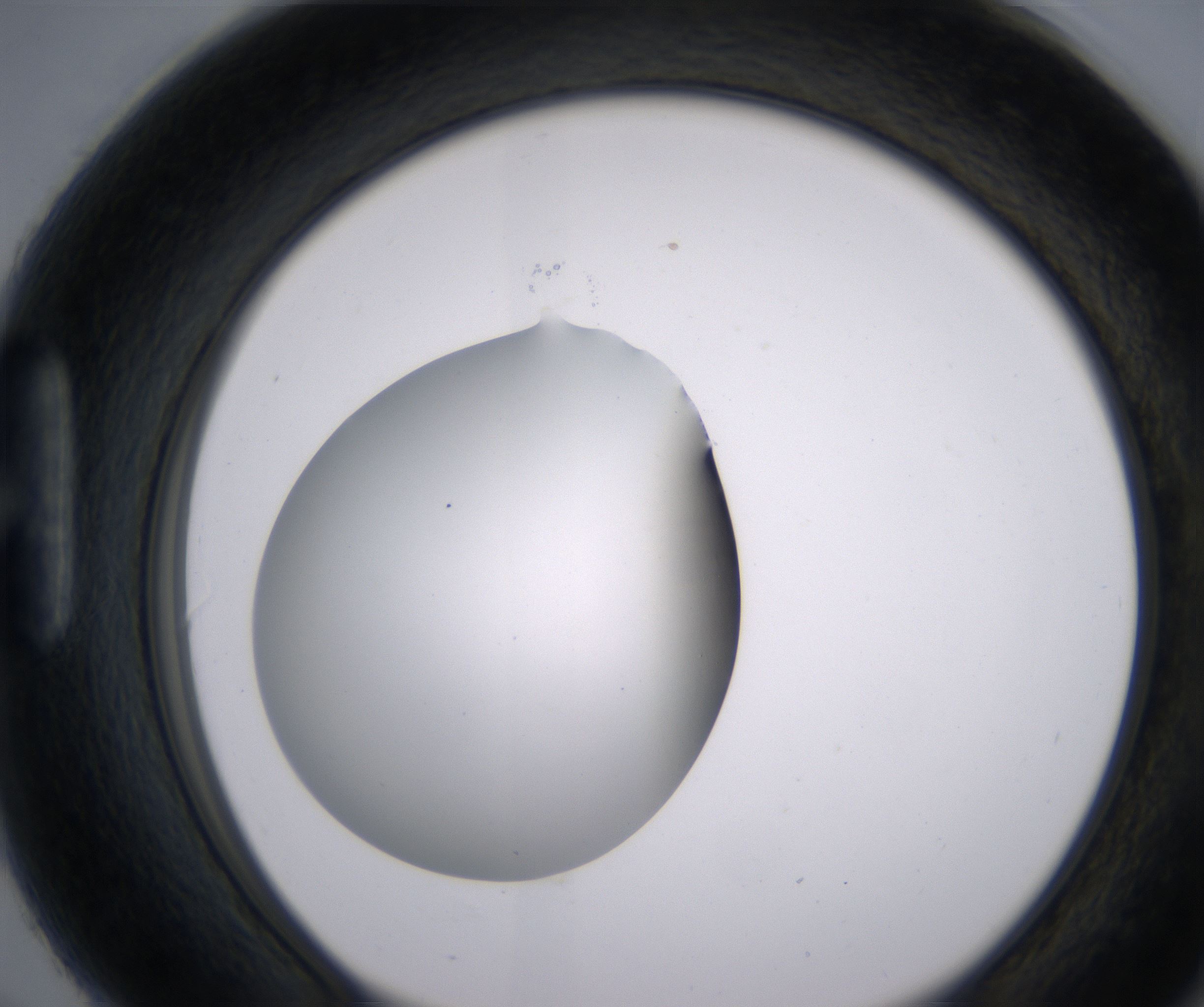 H6_HighResolution_Clear_1.jpg
