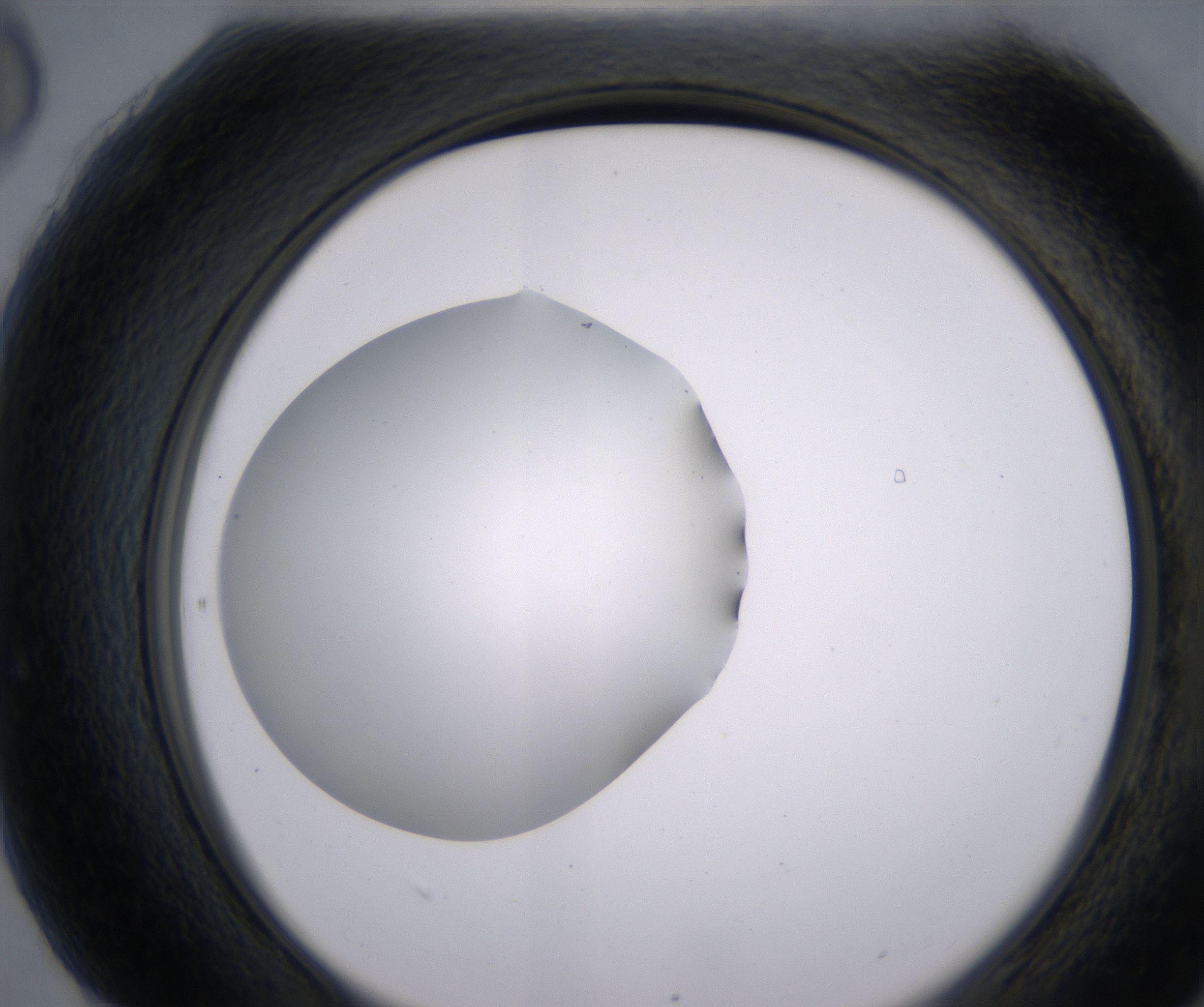 H6_HighResolution_Clear_2.jpg