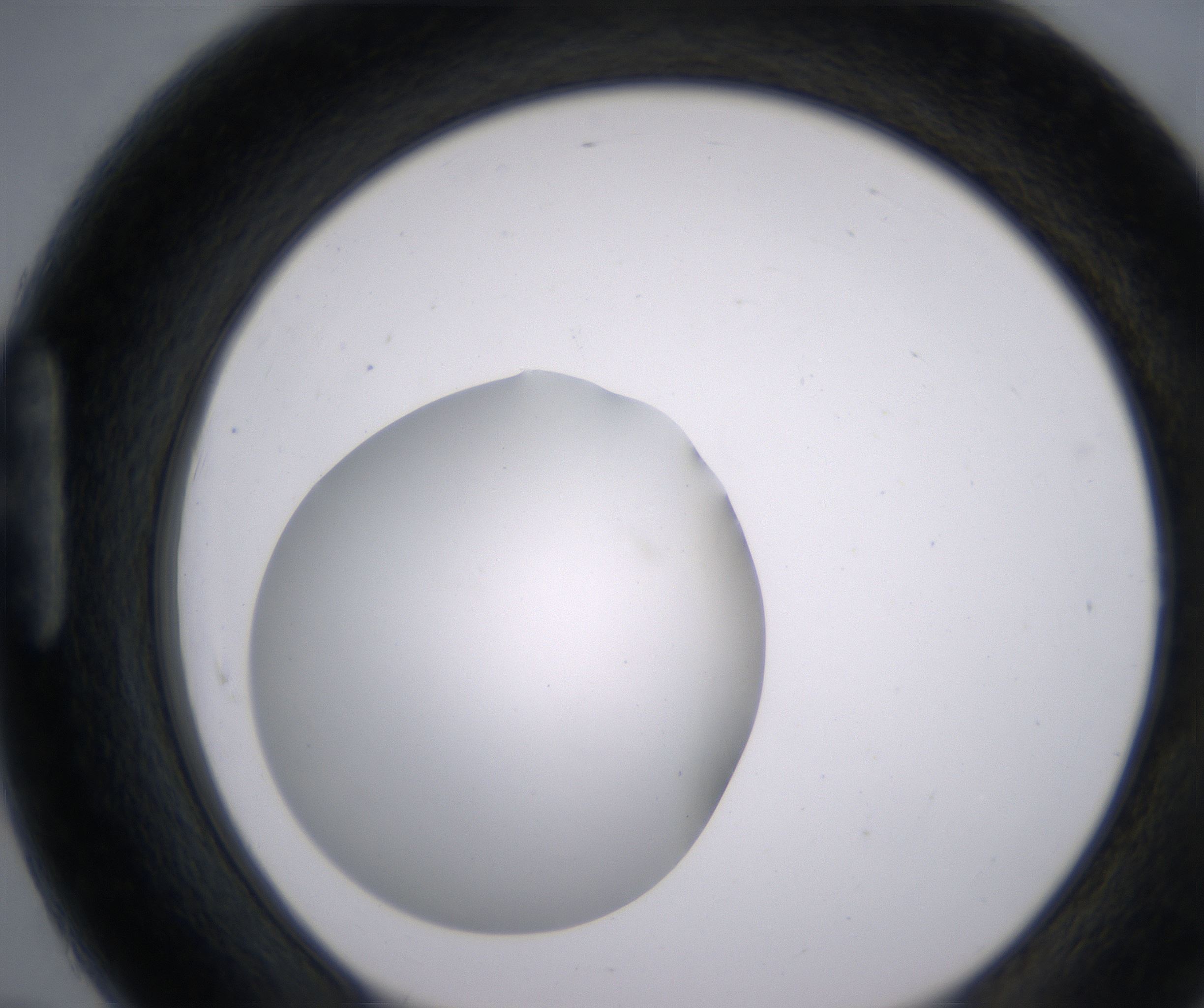 H7_HighResolution_Clear_1.jpg