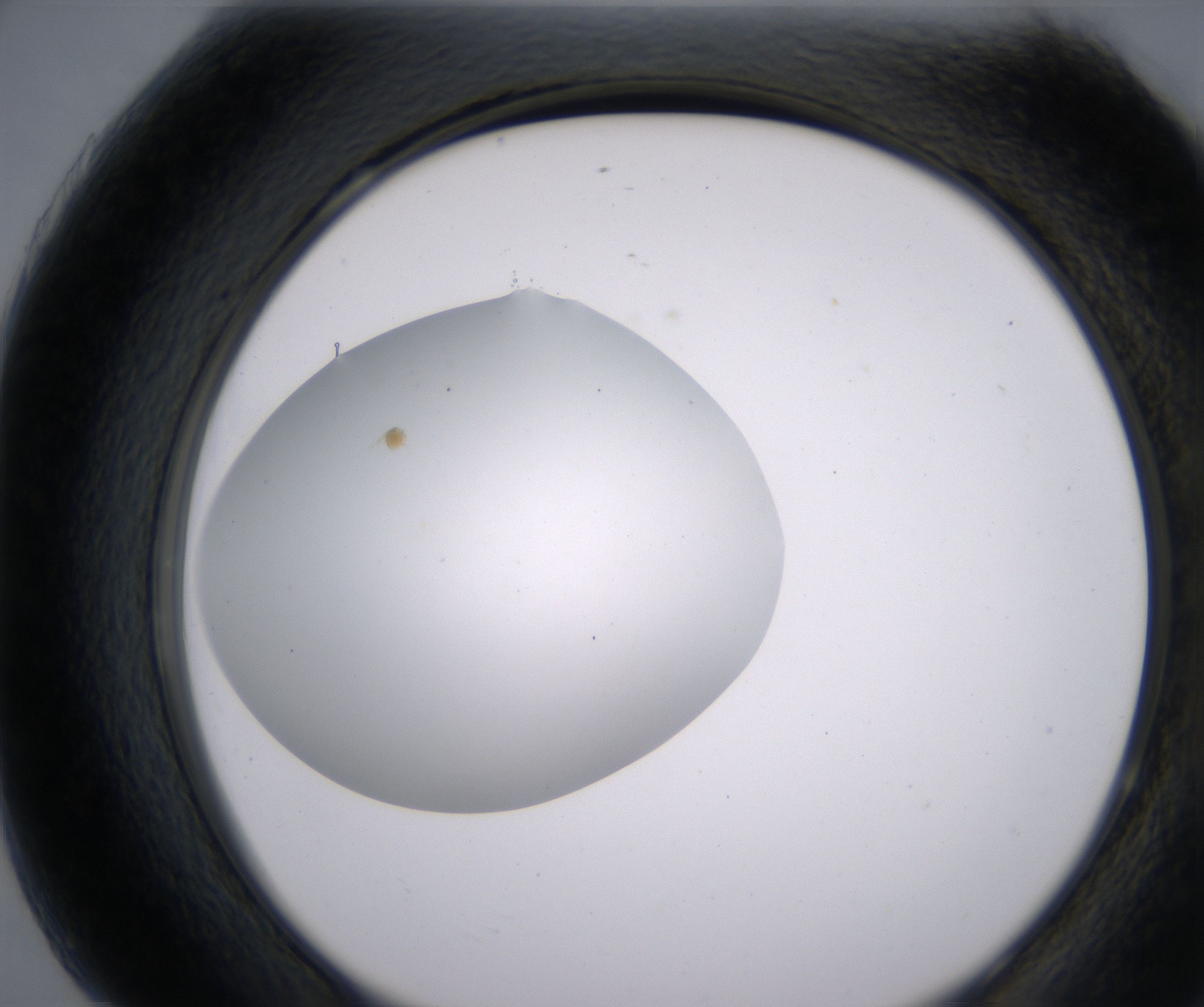 H7_HighResolution_Clear_2.jpg