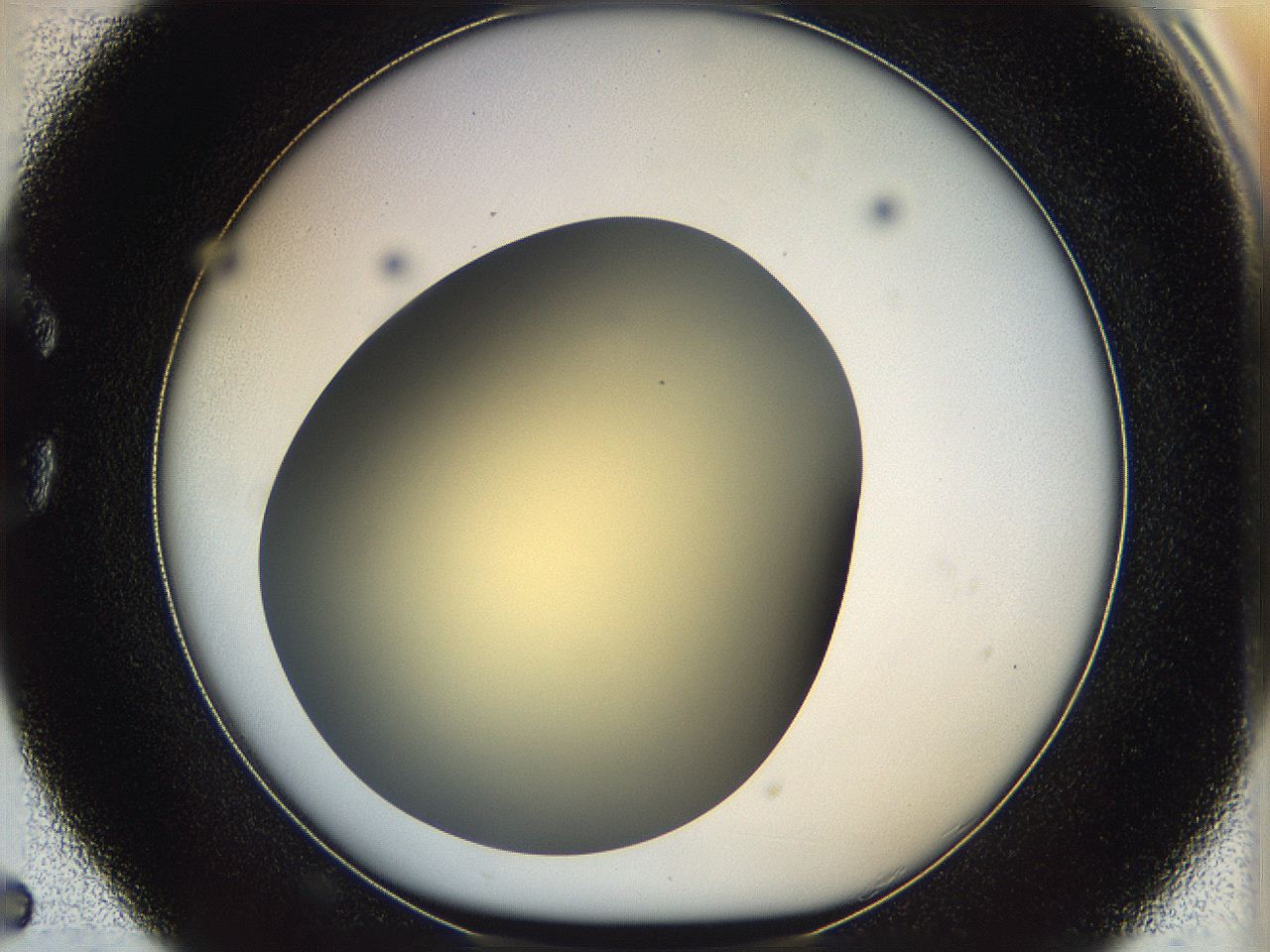 05k0_C5_ImagerDefaults_0.jpg