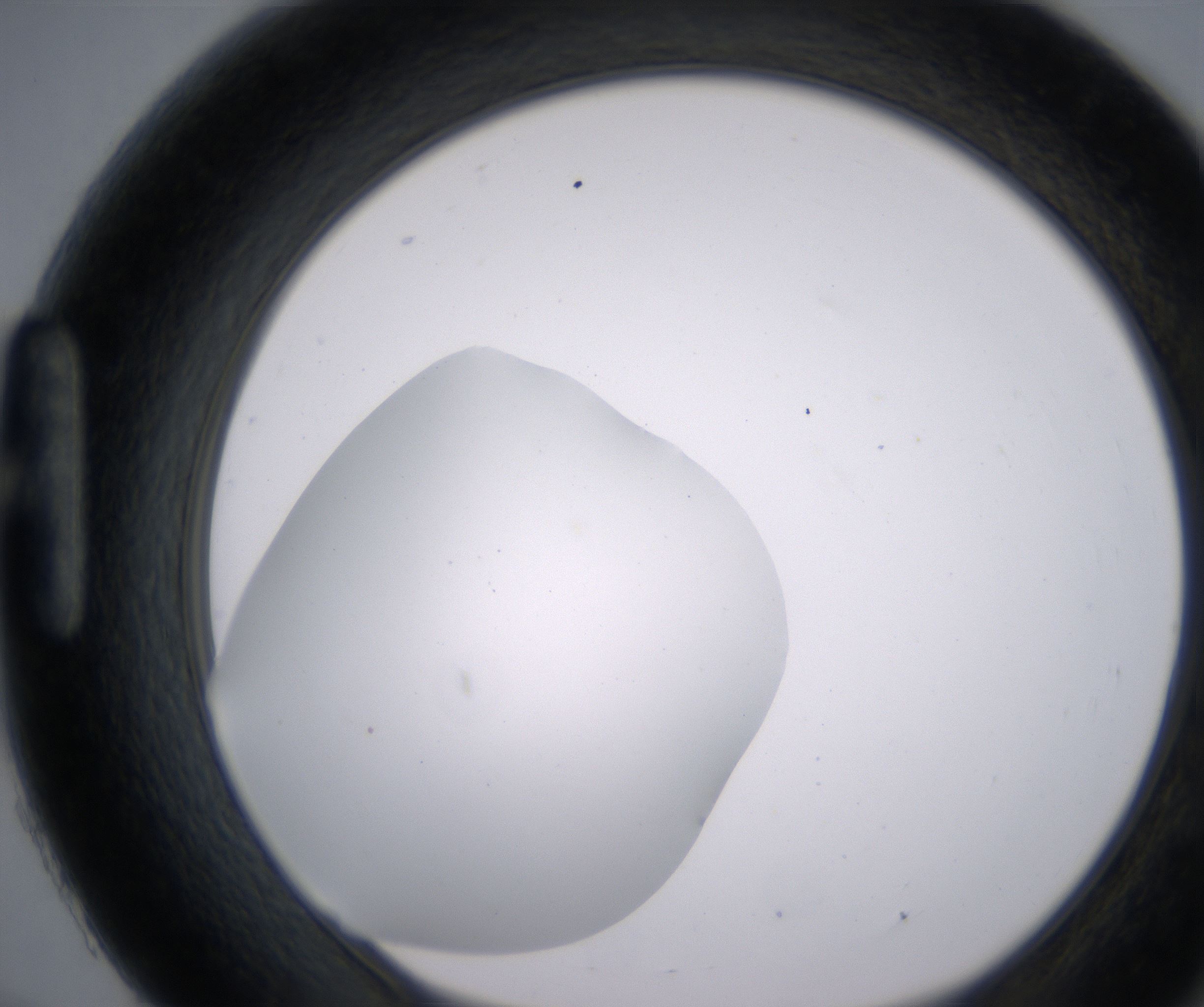 H9_HighResolution_Clear_1.jpg