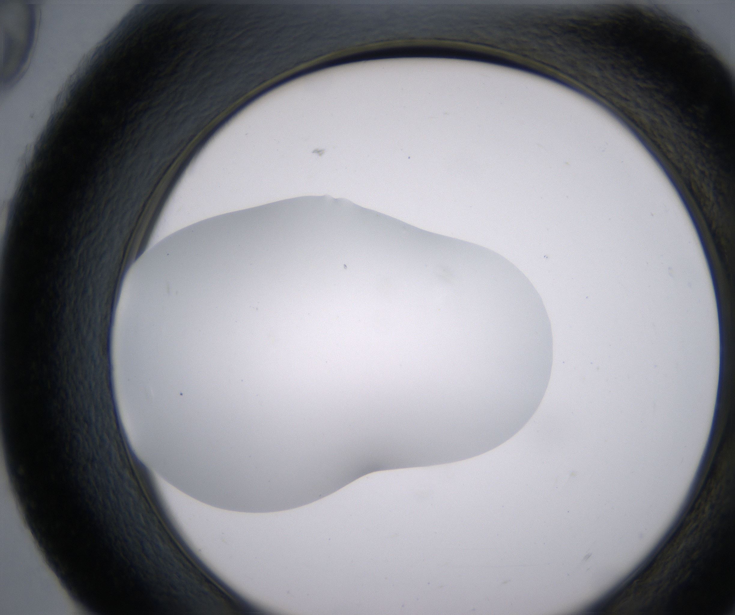 H9_HighResolution_Clear_2.jpg