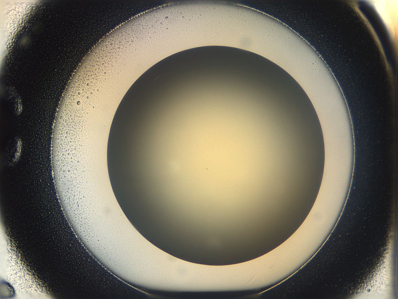 05k0_C6_ImagerDefaults_0.jpg