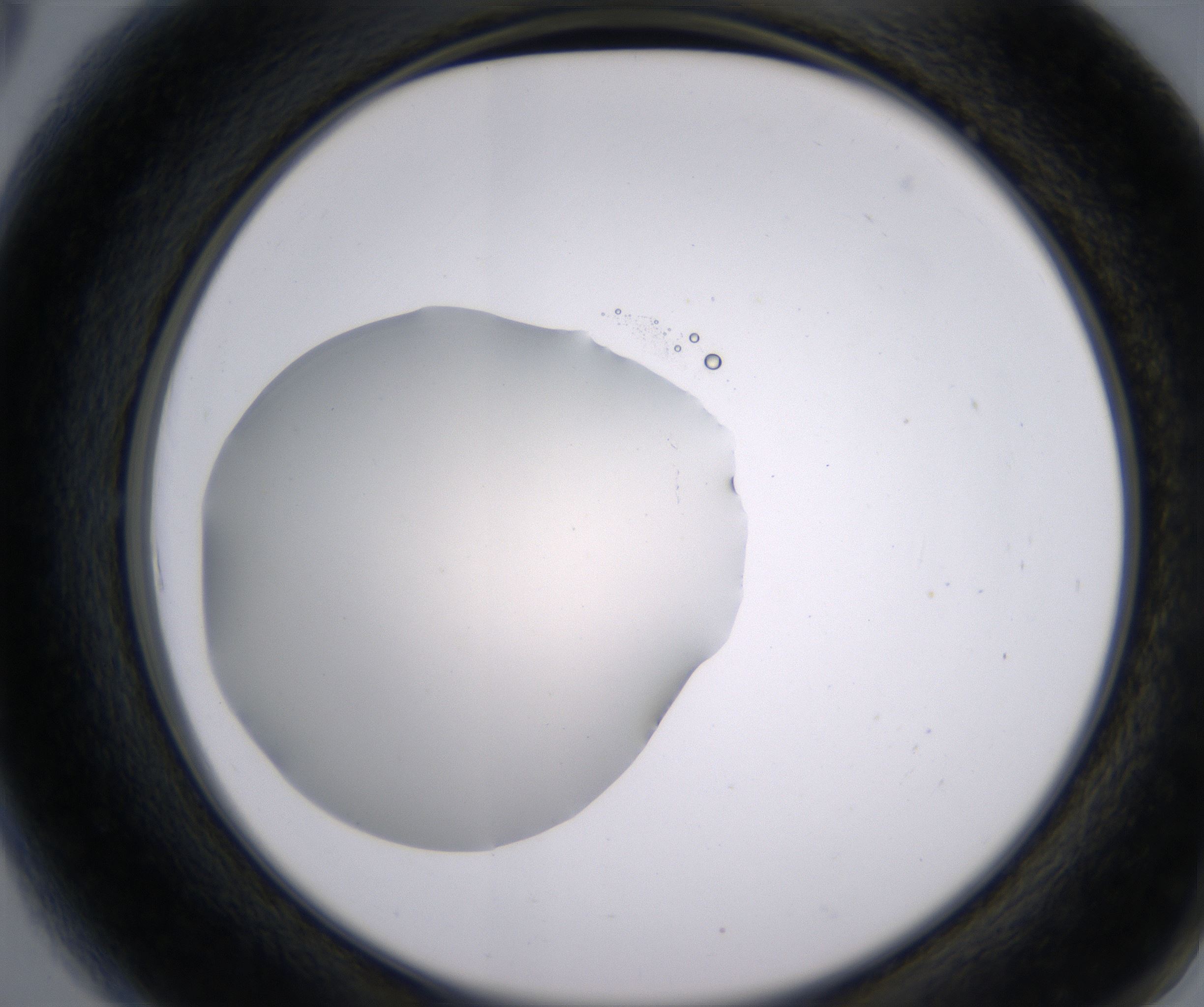 A6_HighResolution_Clear_2.jpg