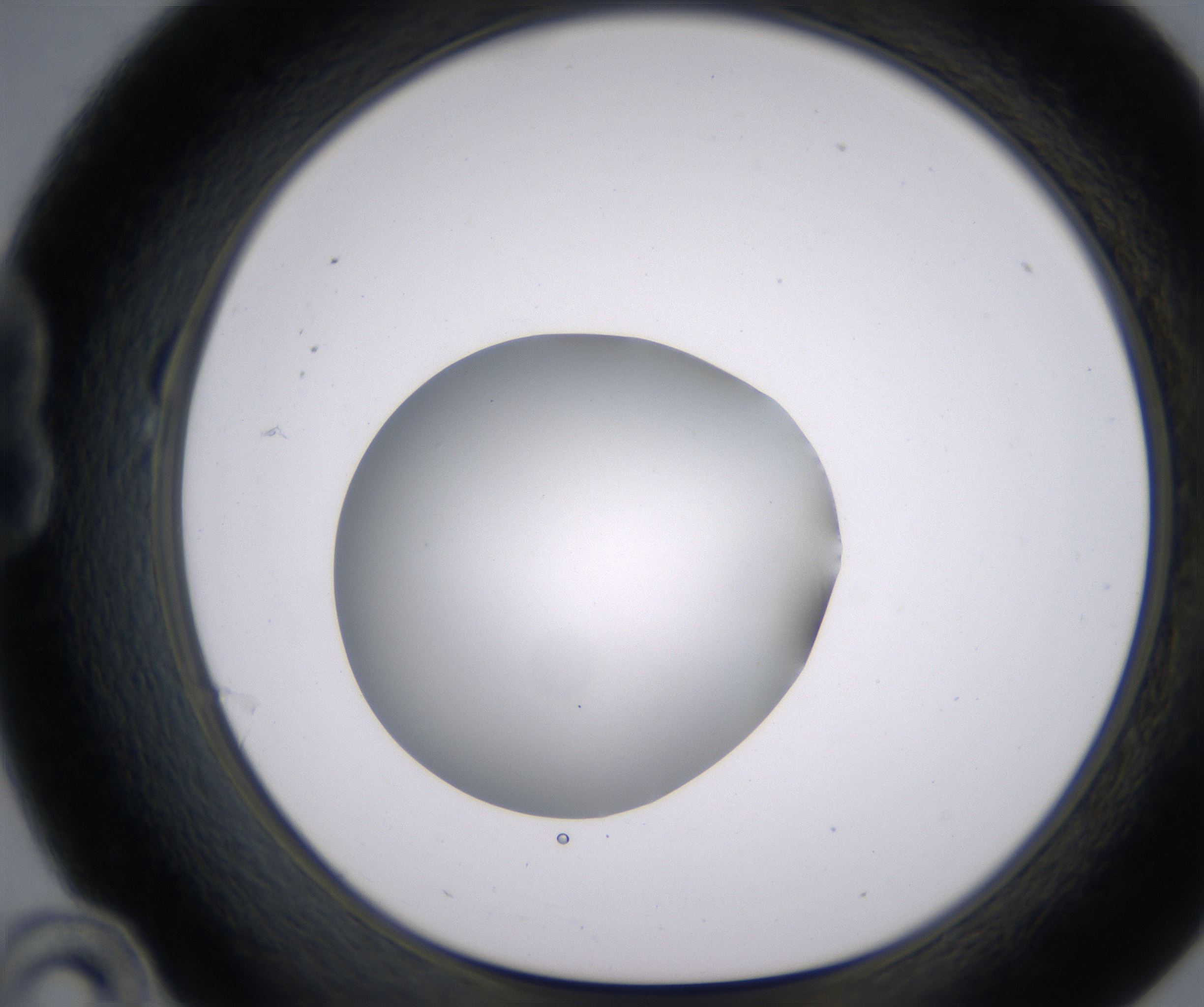 B10_HighResolution_Clear_1.jpg