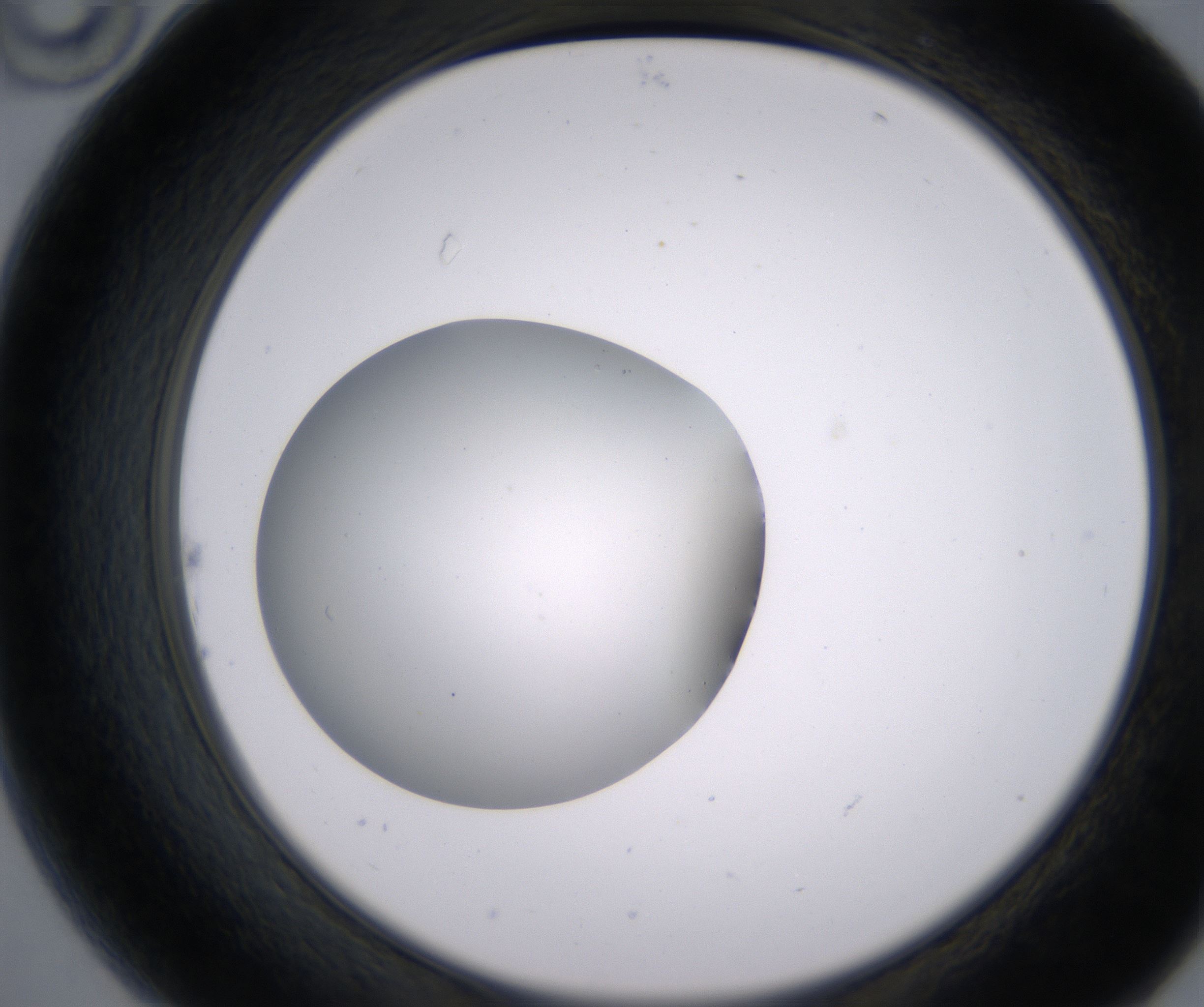 B10_HighResolution_Clear_2.jpg