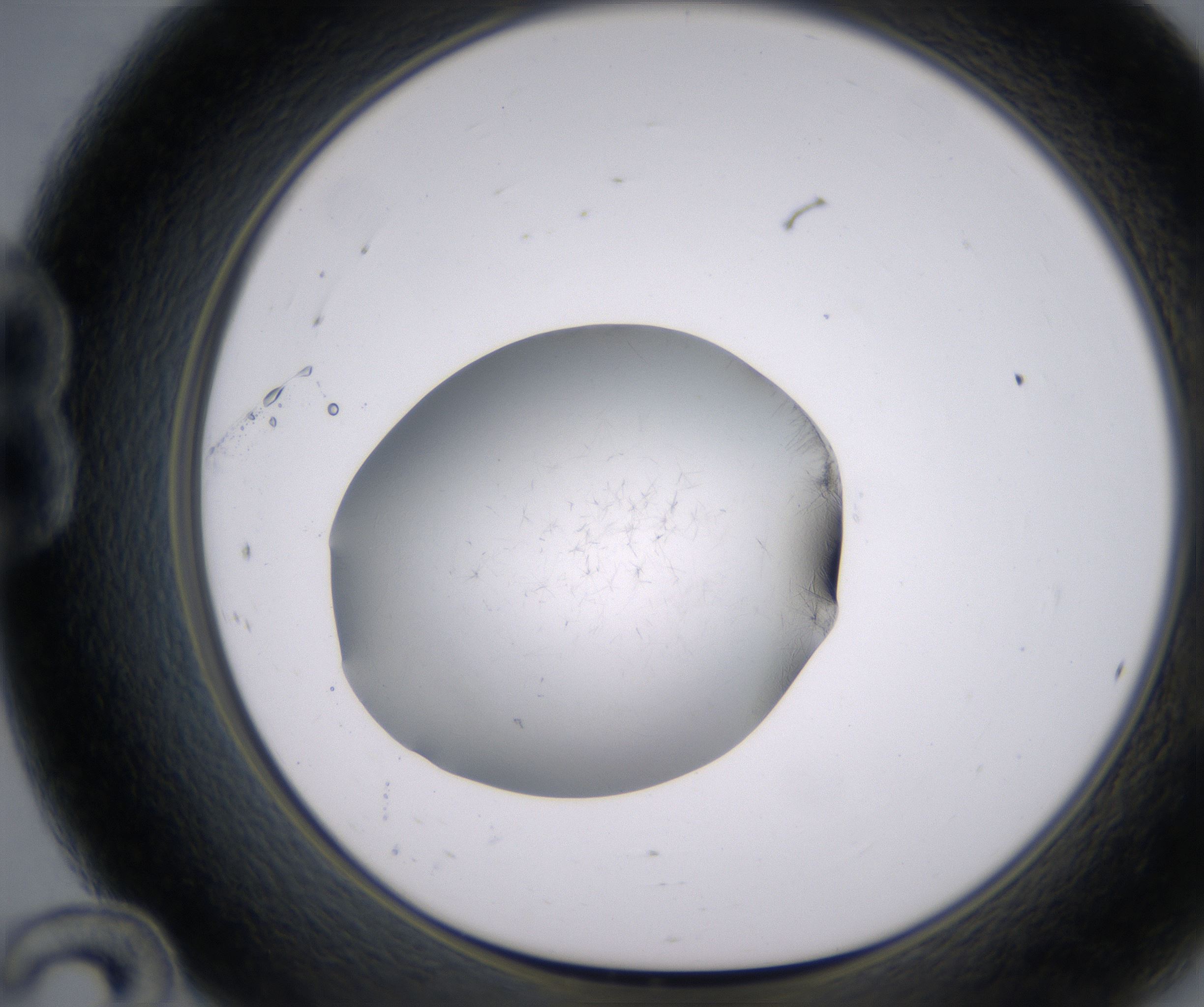 B12_HighResolution_Precipitate_1.jpg