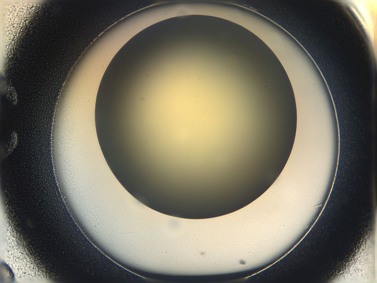 05k0_C8_ImagerDefaults_0.jpg