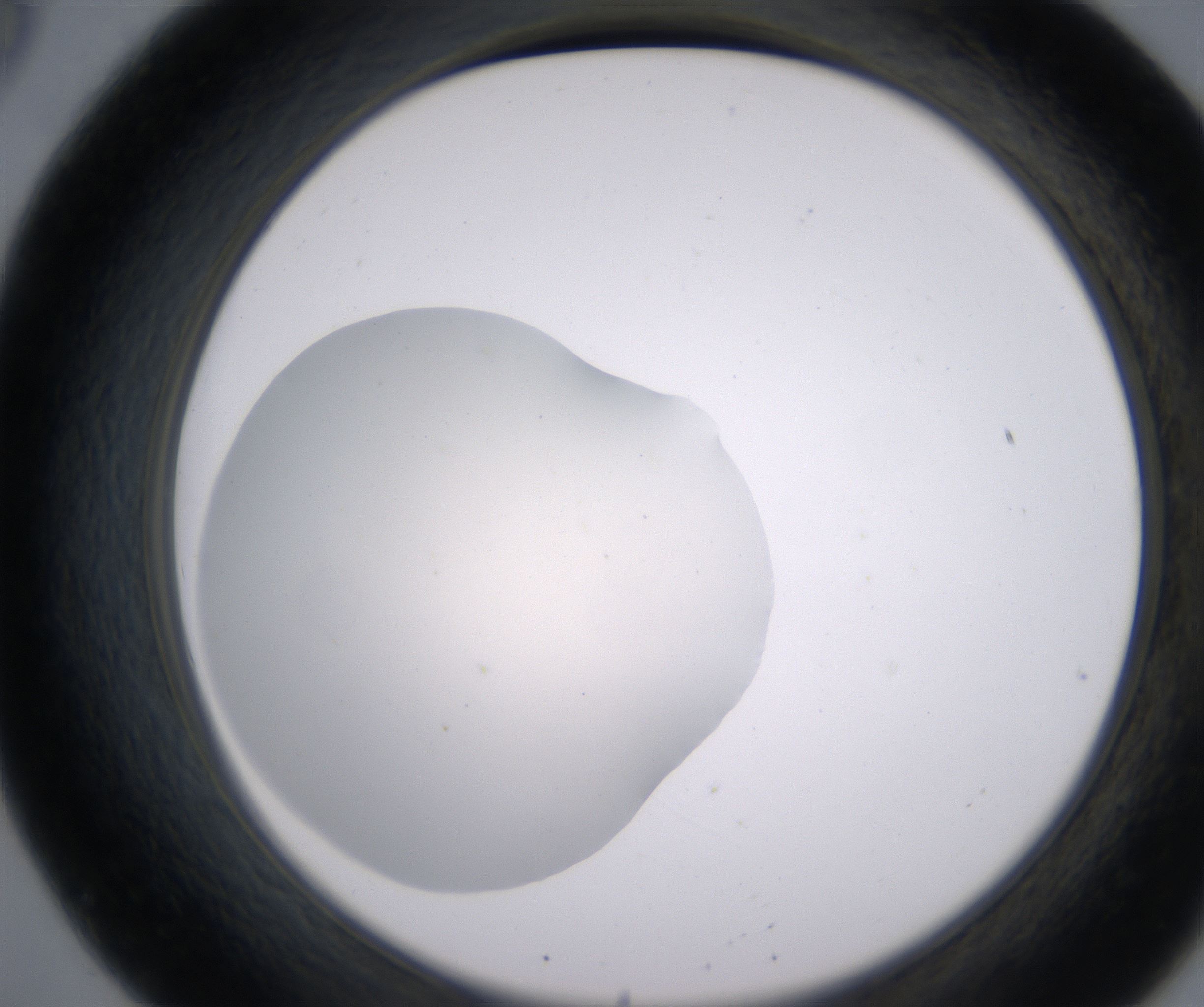 B8_HighResolution_Clear_2.jpg