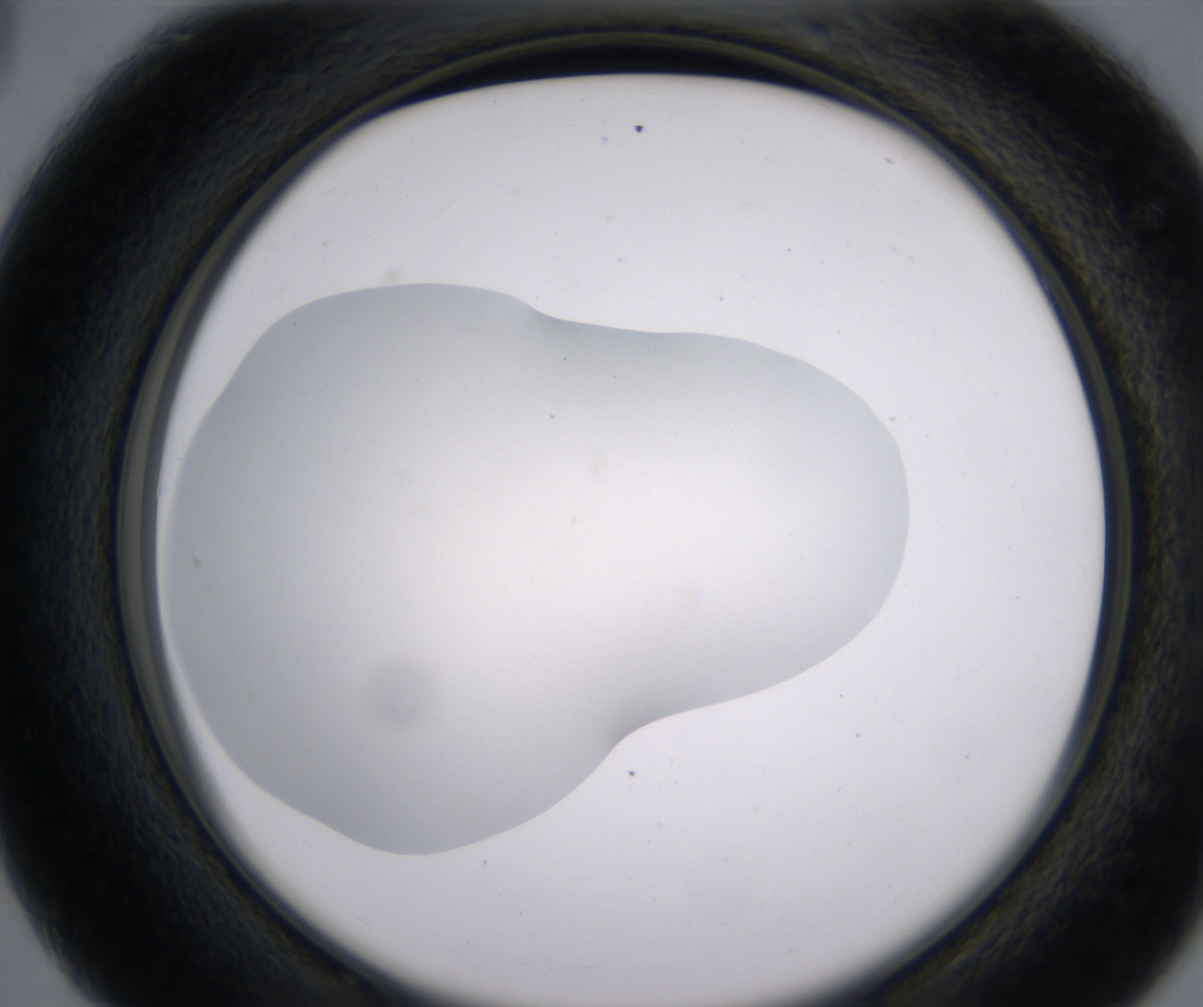 C3_HighResolution_Clear_2.jpg