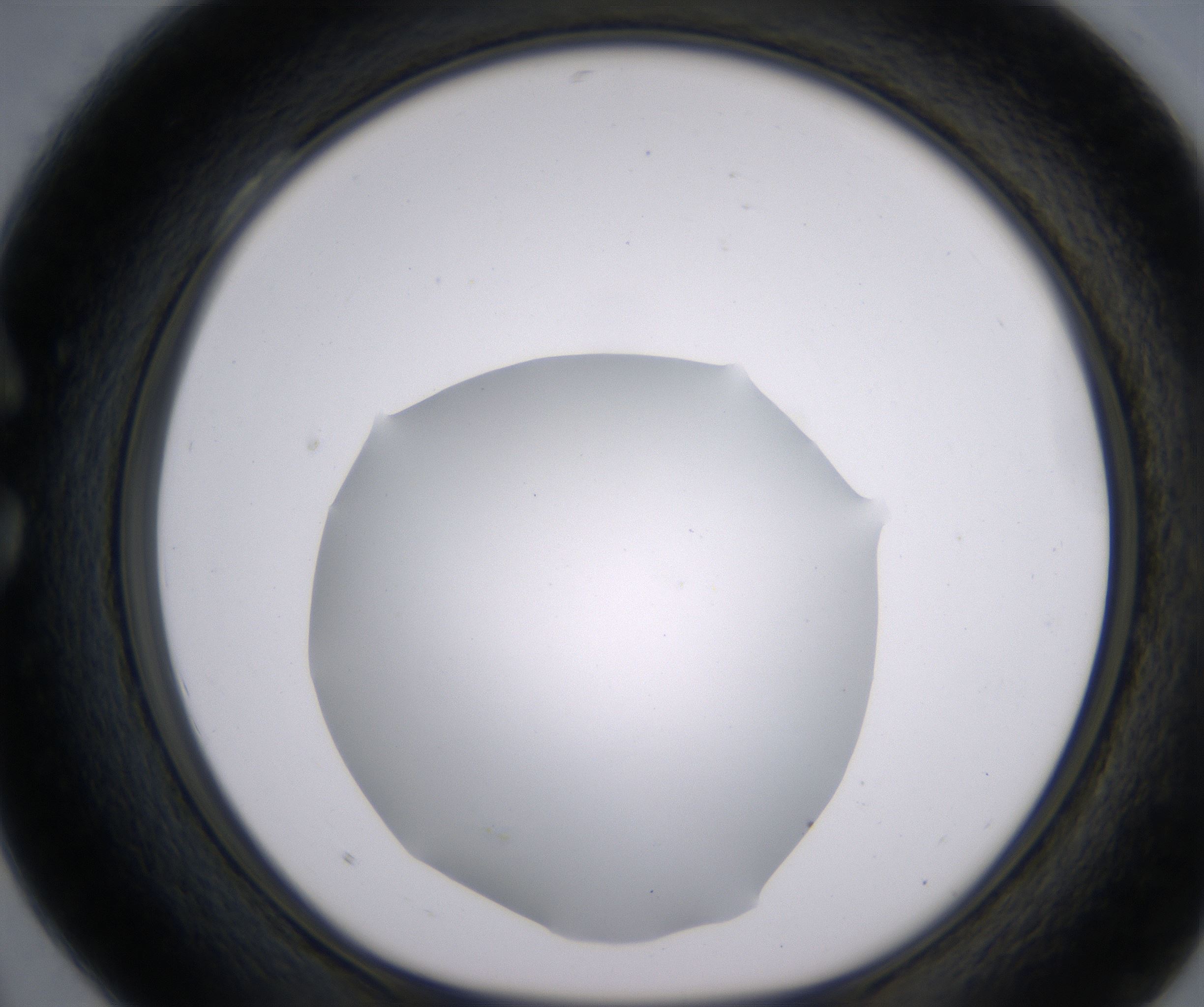 C4_HighResolution_Clear_1.jpg