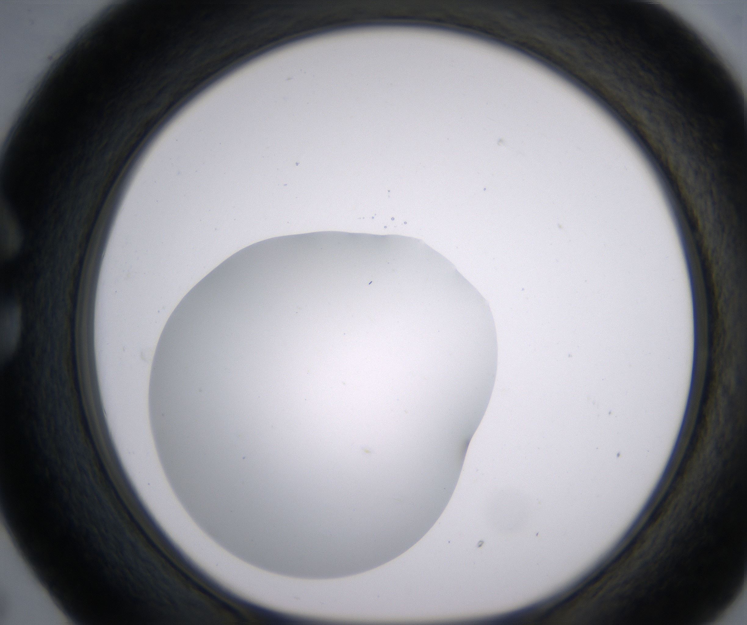 C5_HighResolution_Clear_1.jpg
