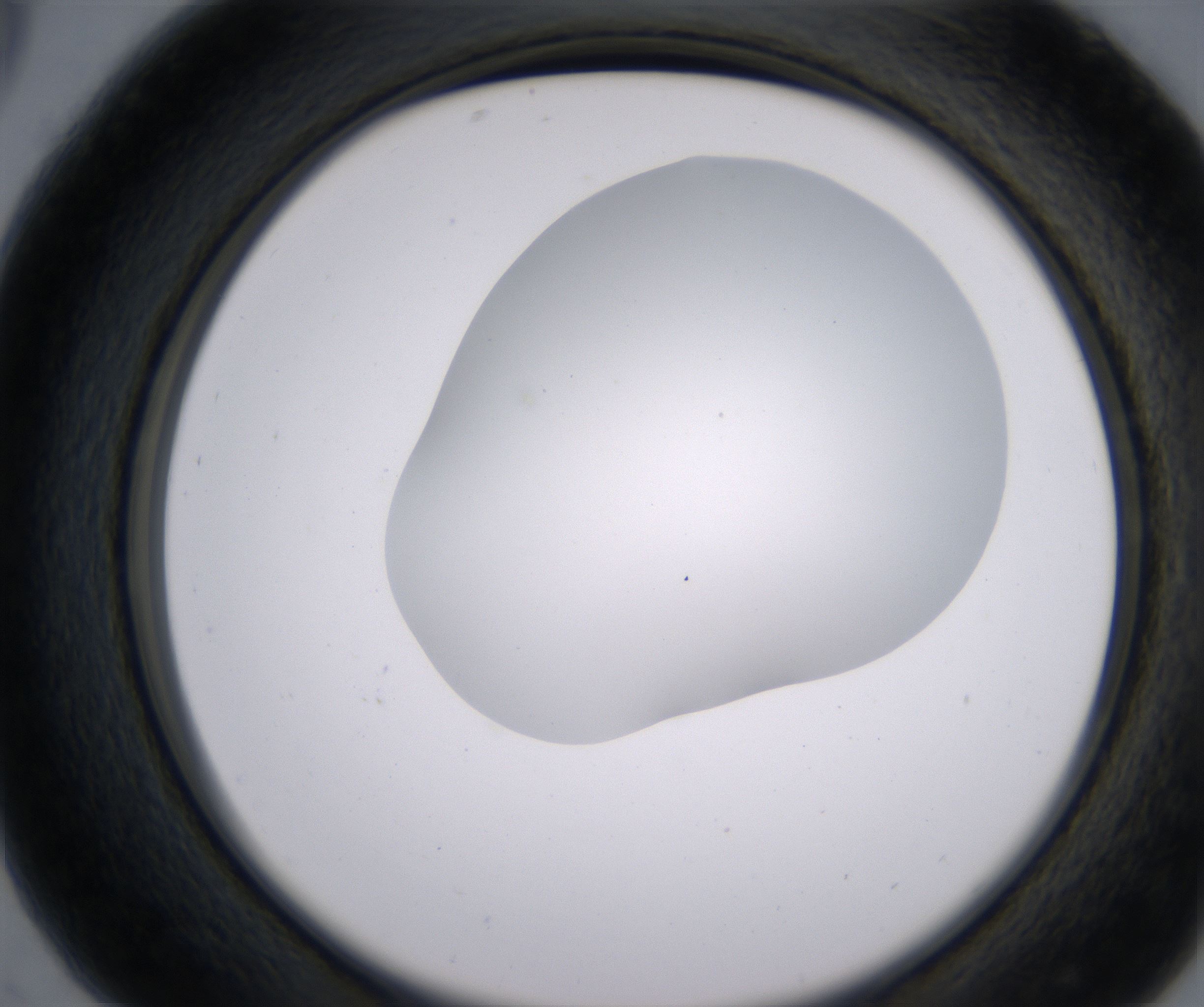 C5_HighResolution_Clear_2.jpg