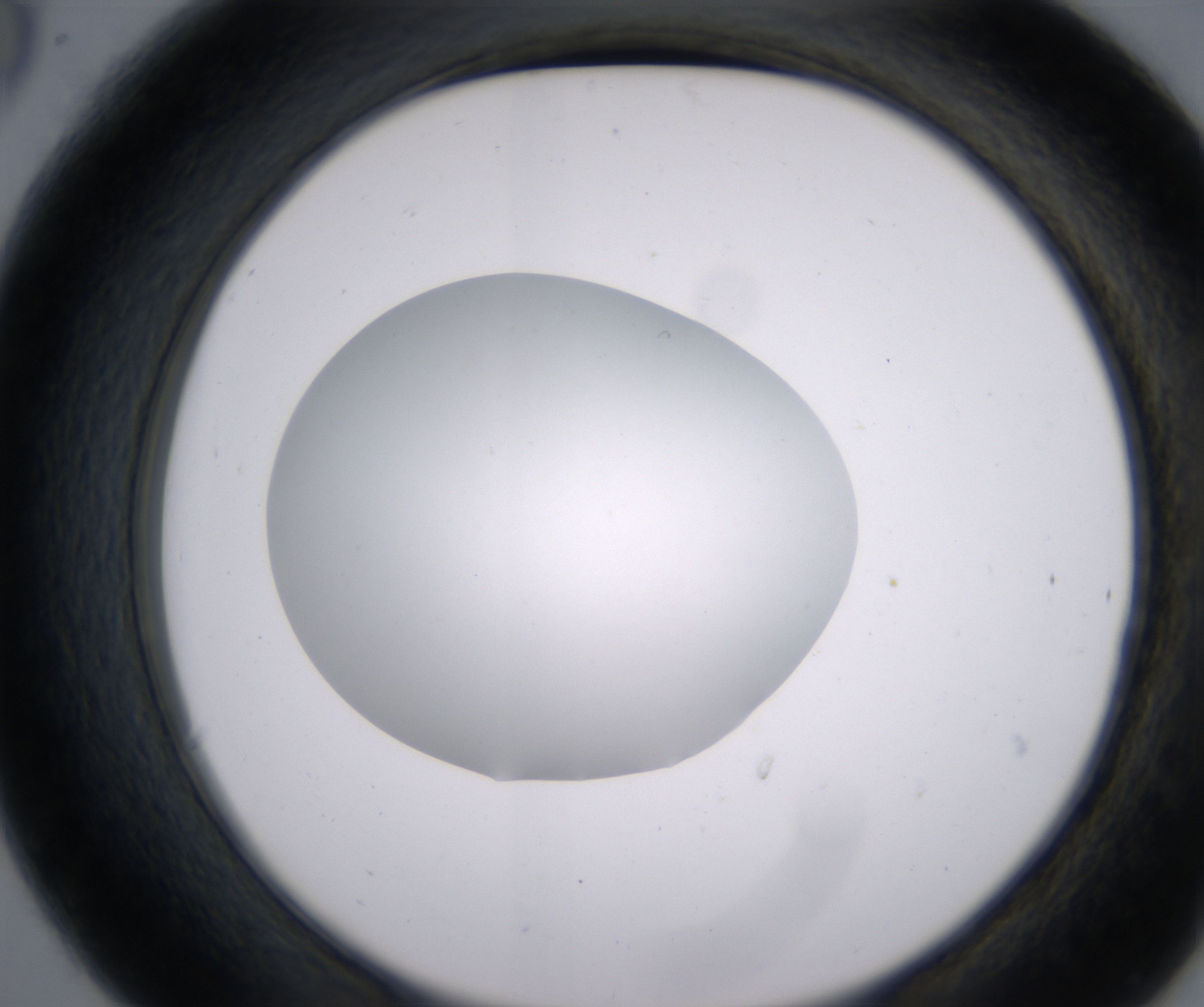 C6_HighResolution_Clear_2.jpg