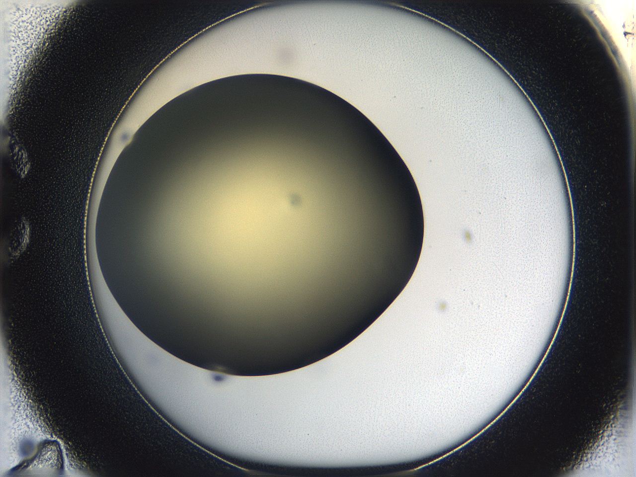05k0_C11_ImagerDefaults_0.jpg