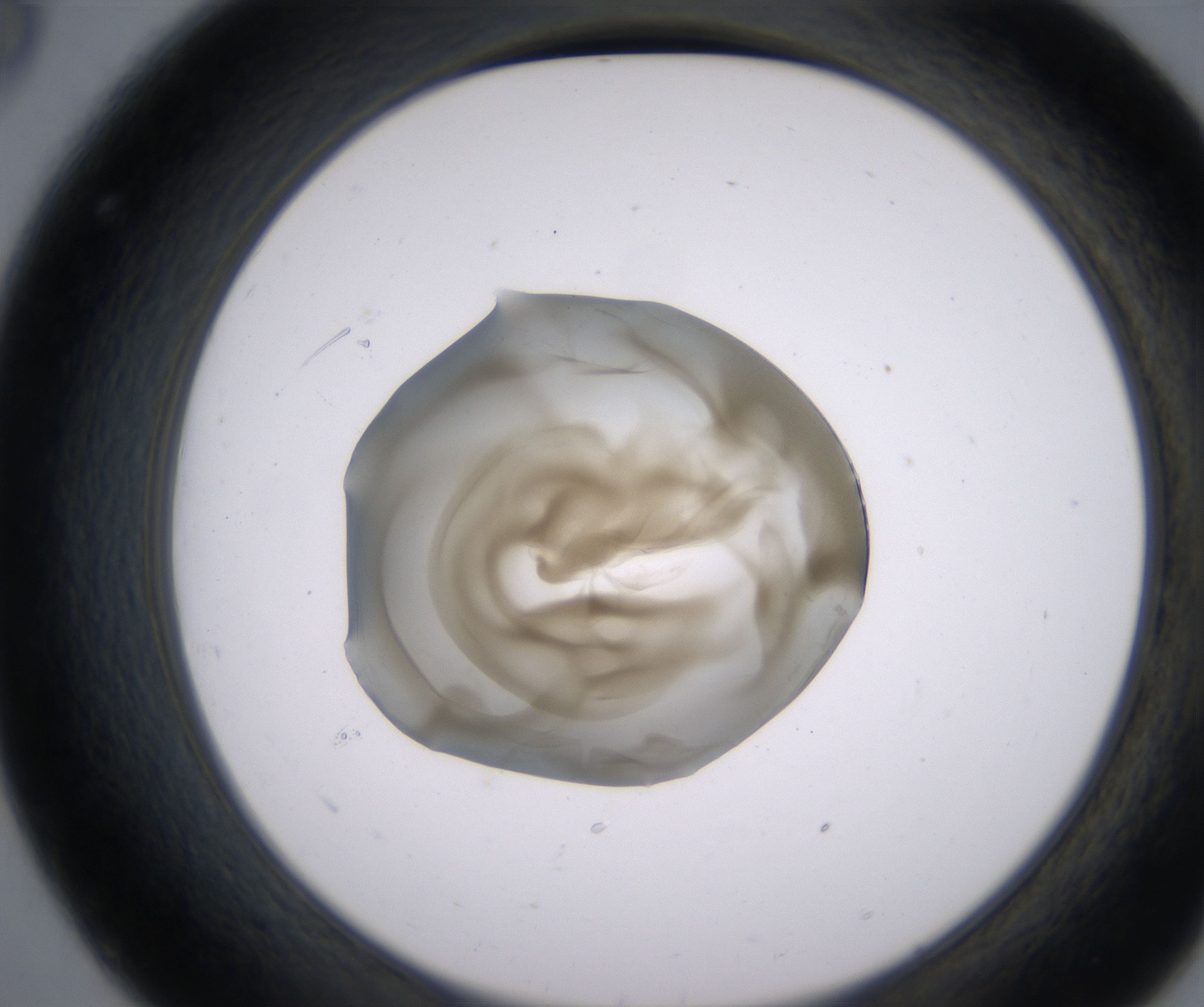 C8_HighResolution_Precipitate_2.jpg