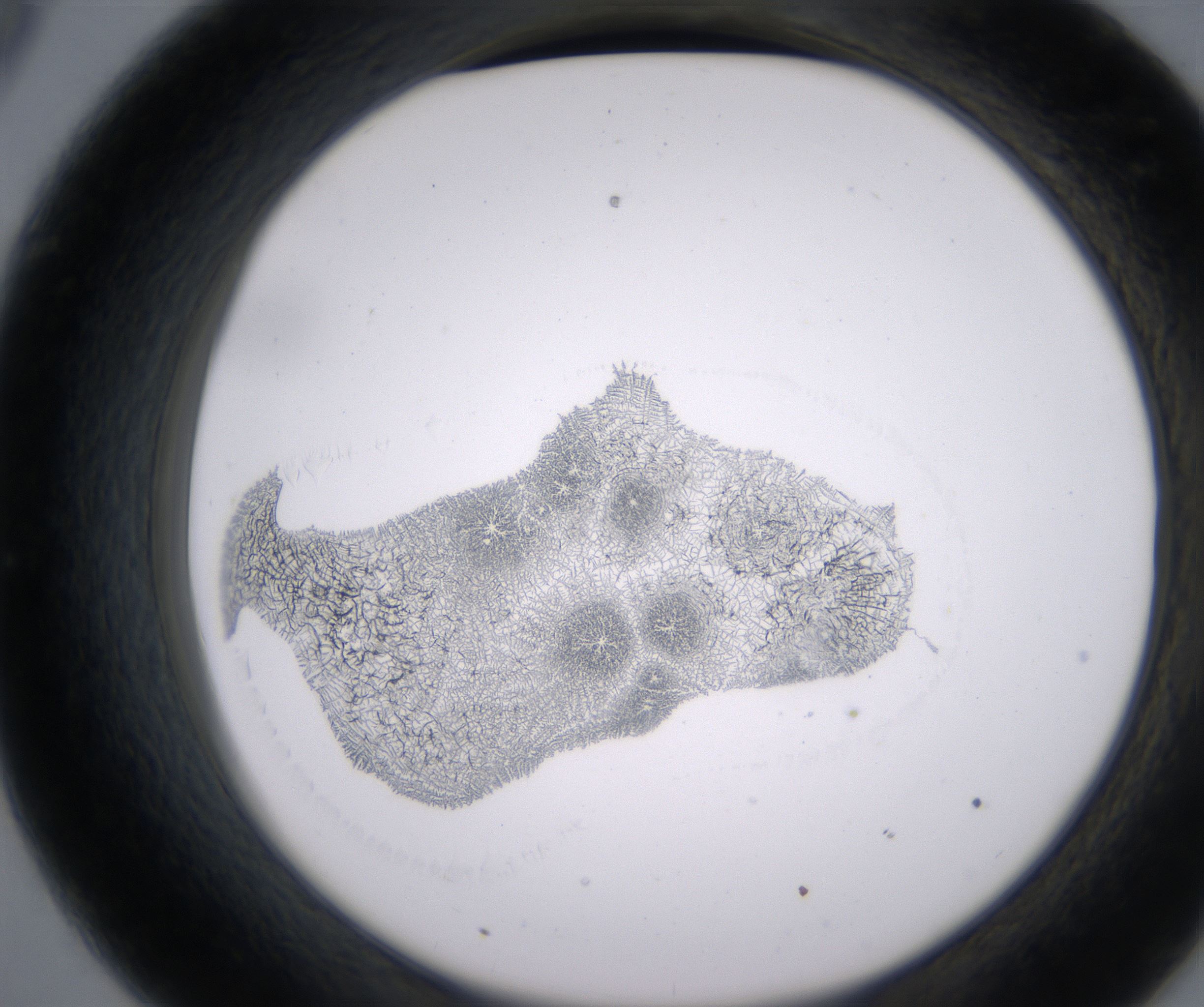 C9_HighResolution_Precipitate_2.jpg