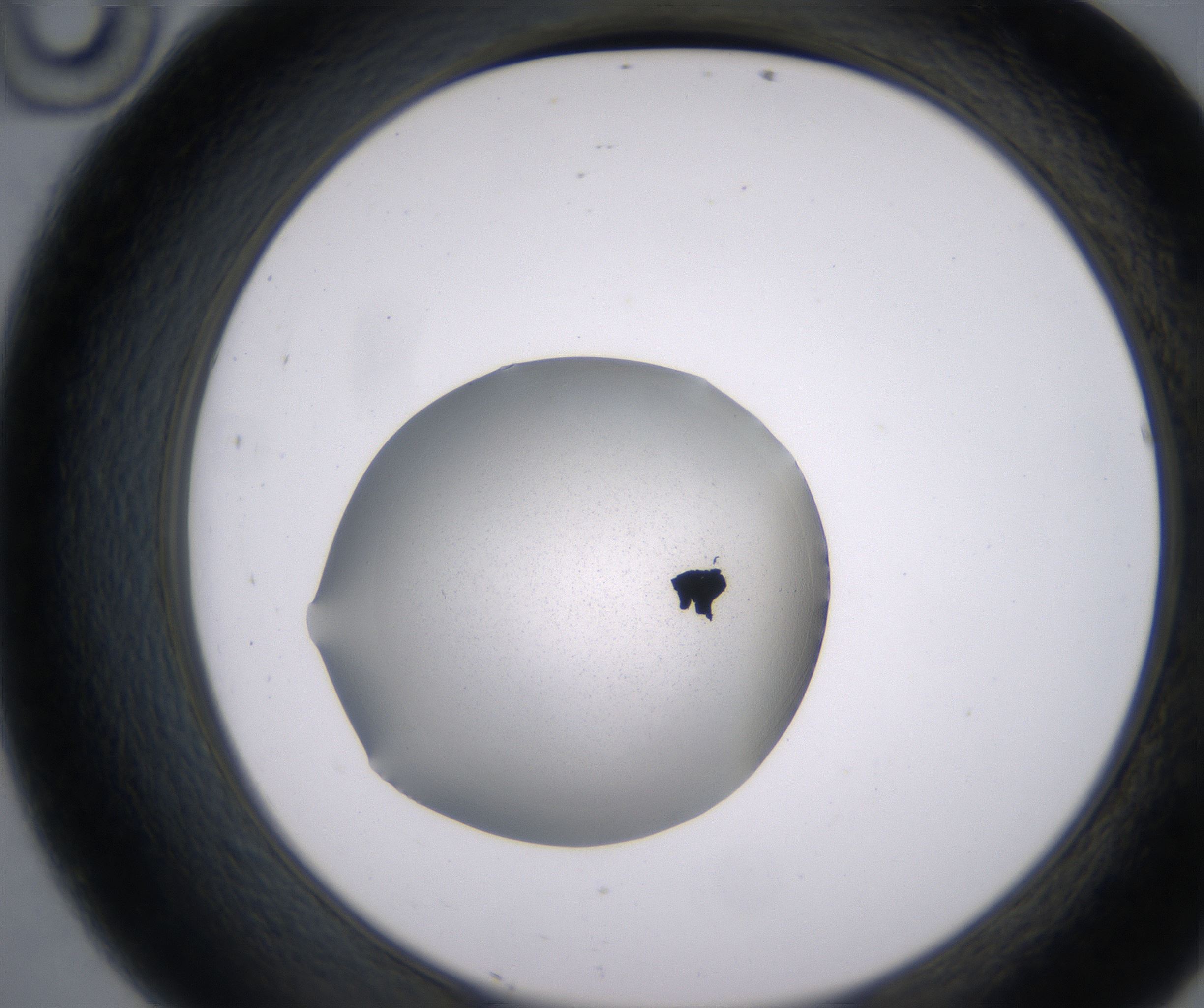 D10_HighResolution_Precipitate_2.jpg