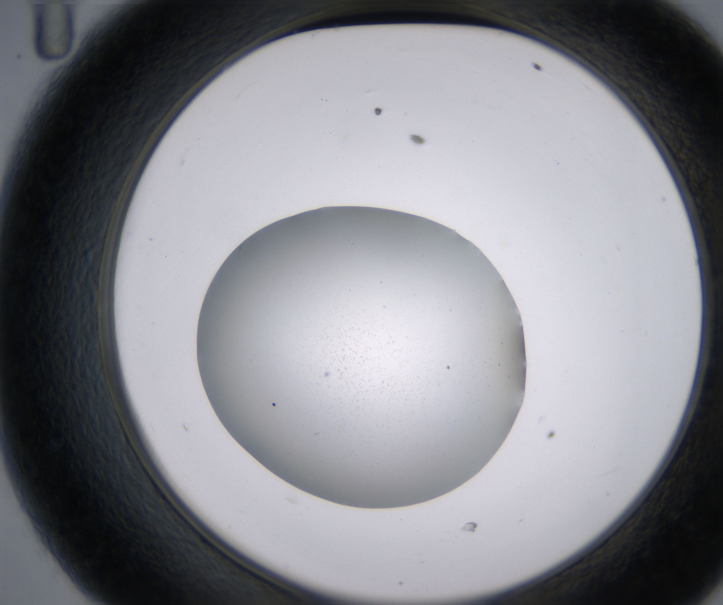 D11_HighResolution_Precipitate_2.jpg