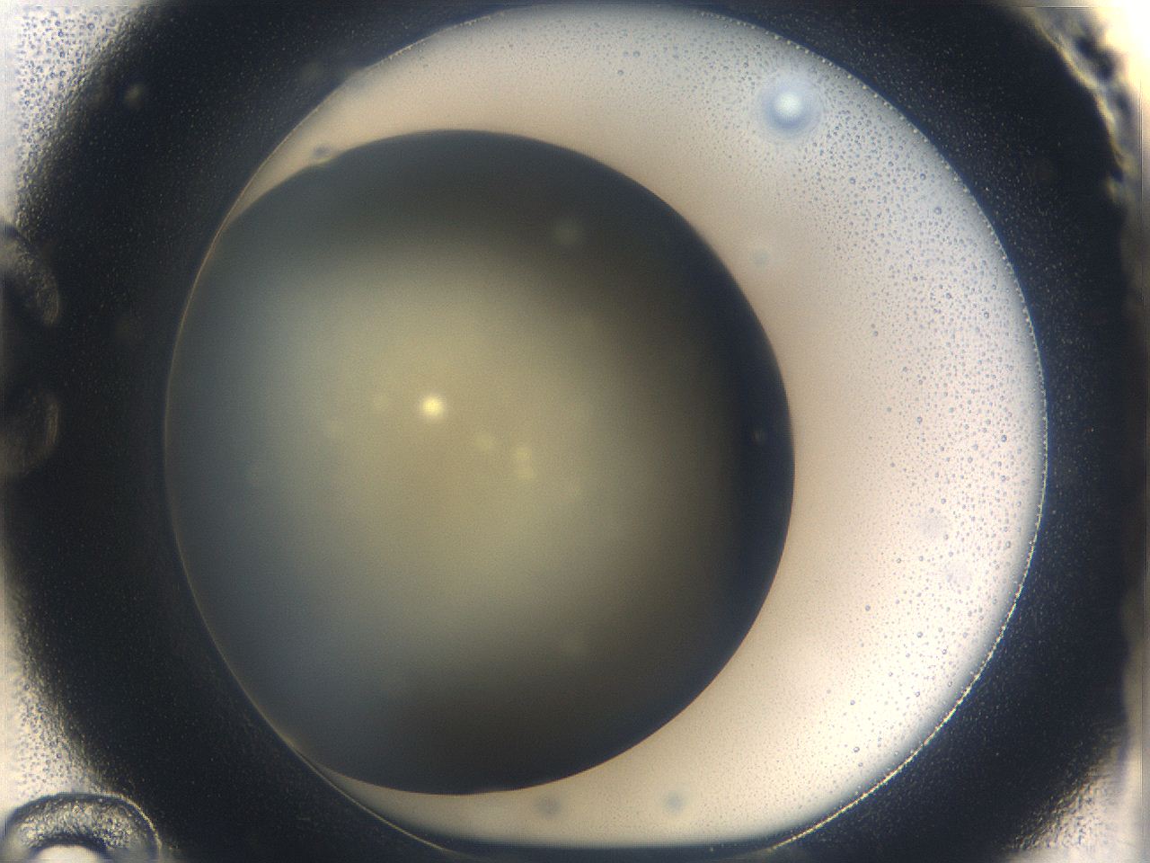 05k0_C12_ImagerDefaults_0.jpg