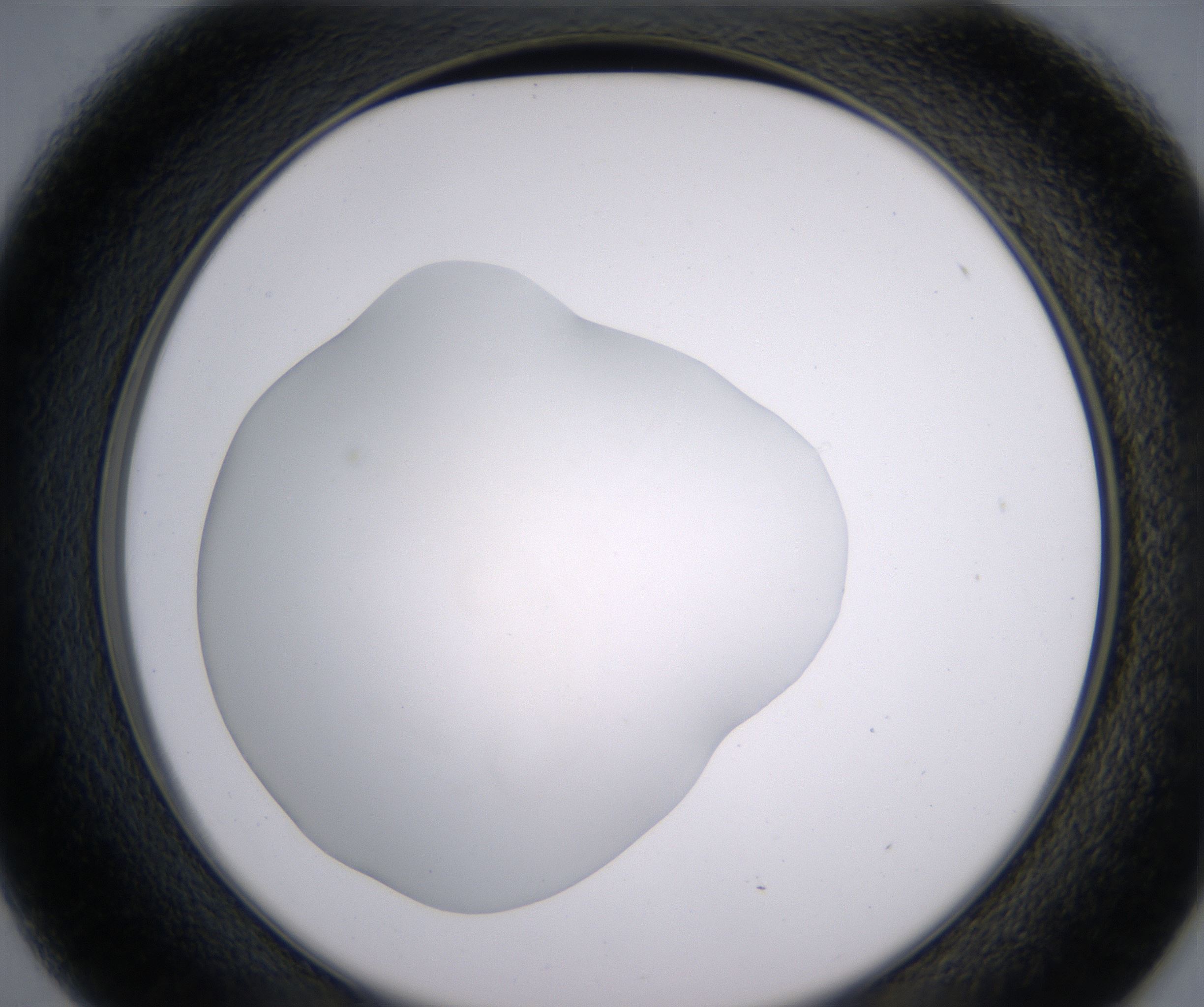 D1_HighResolution_Clear_2.jpg