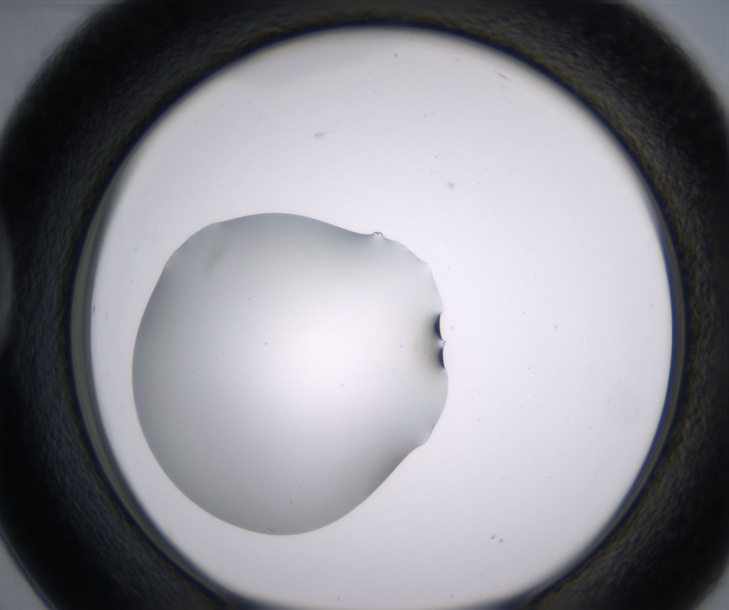 D2_HighResolution_Clear_1.jpg