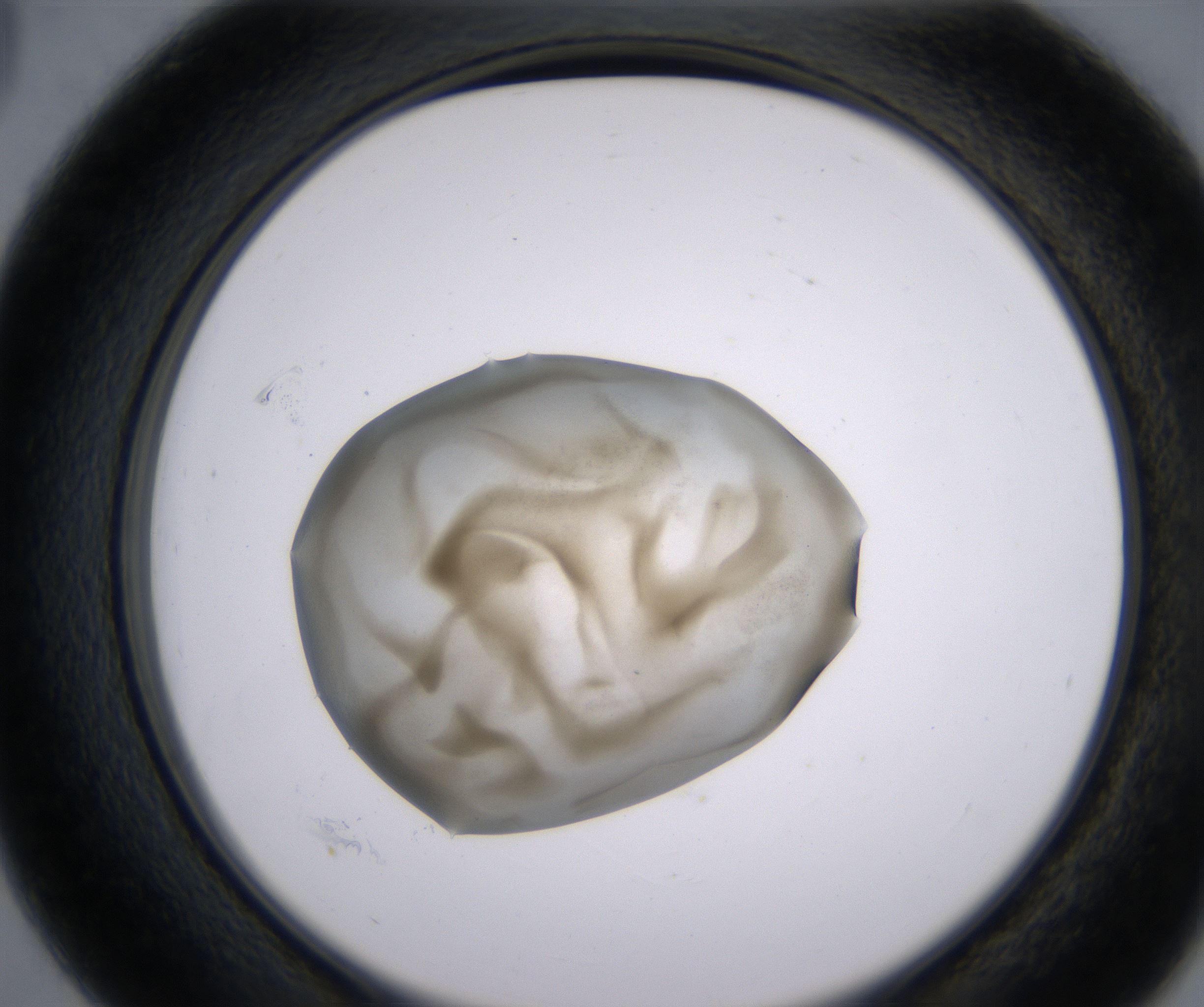 D3_HighResolution_Precipitate_2.jpg
