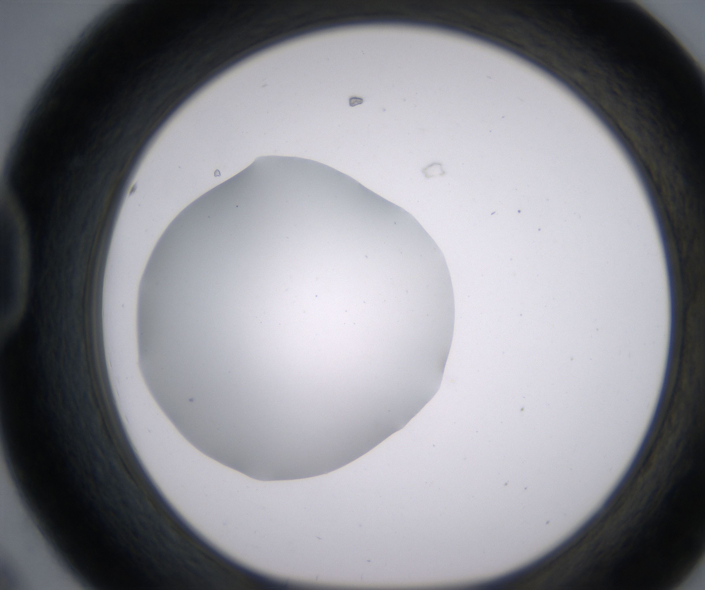 D8_HighResolution_Clear_1.jpg