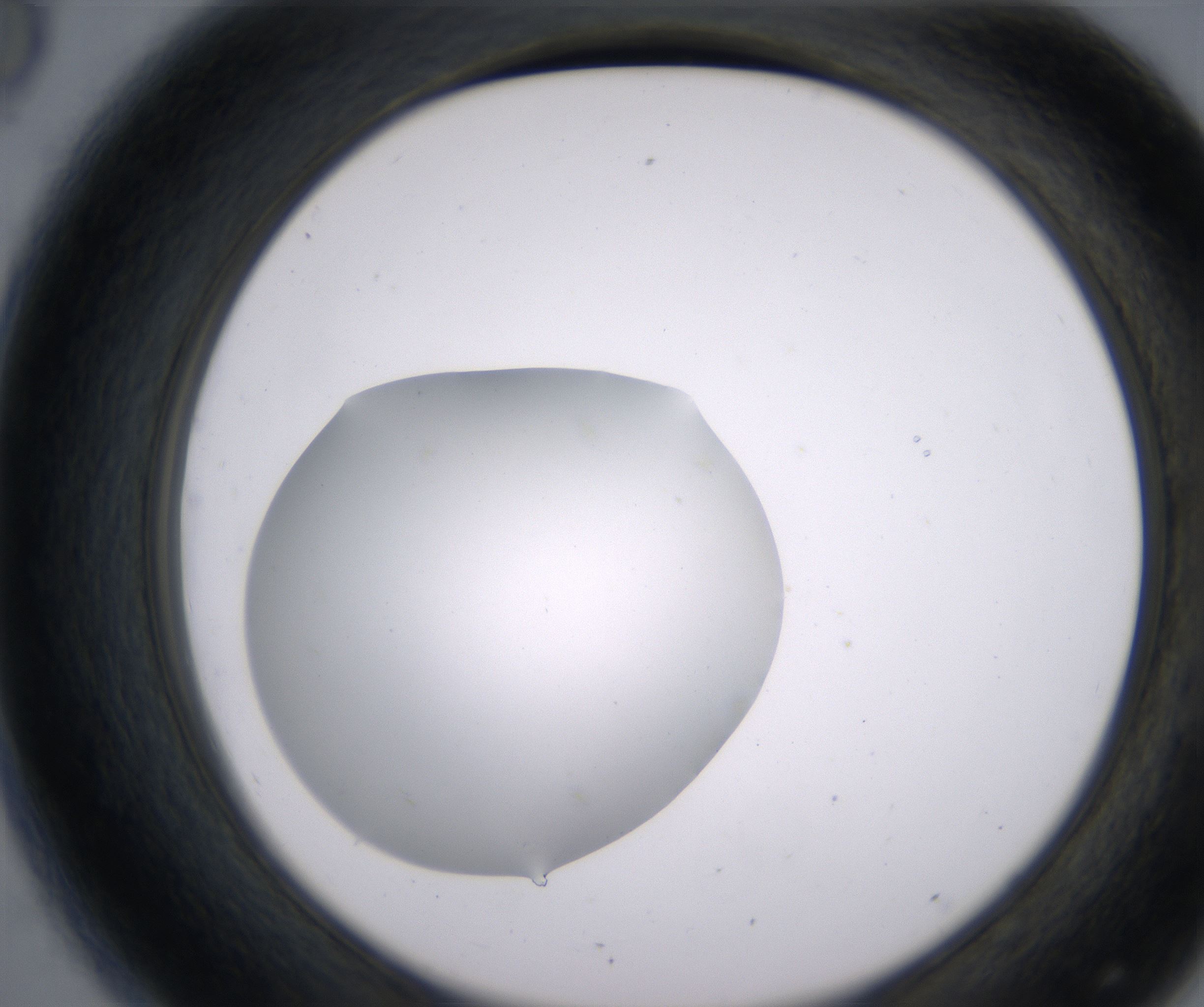 D8_HighResolution_Clear_2.jpg
