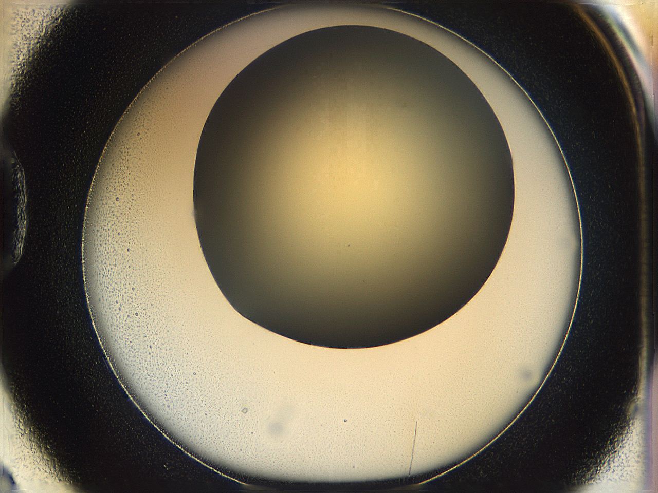 05k0_D2_ImagerDefaults_0.jpg