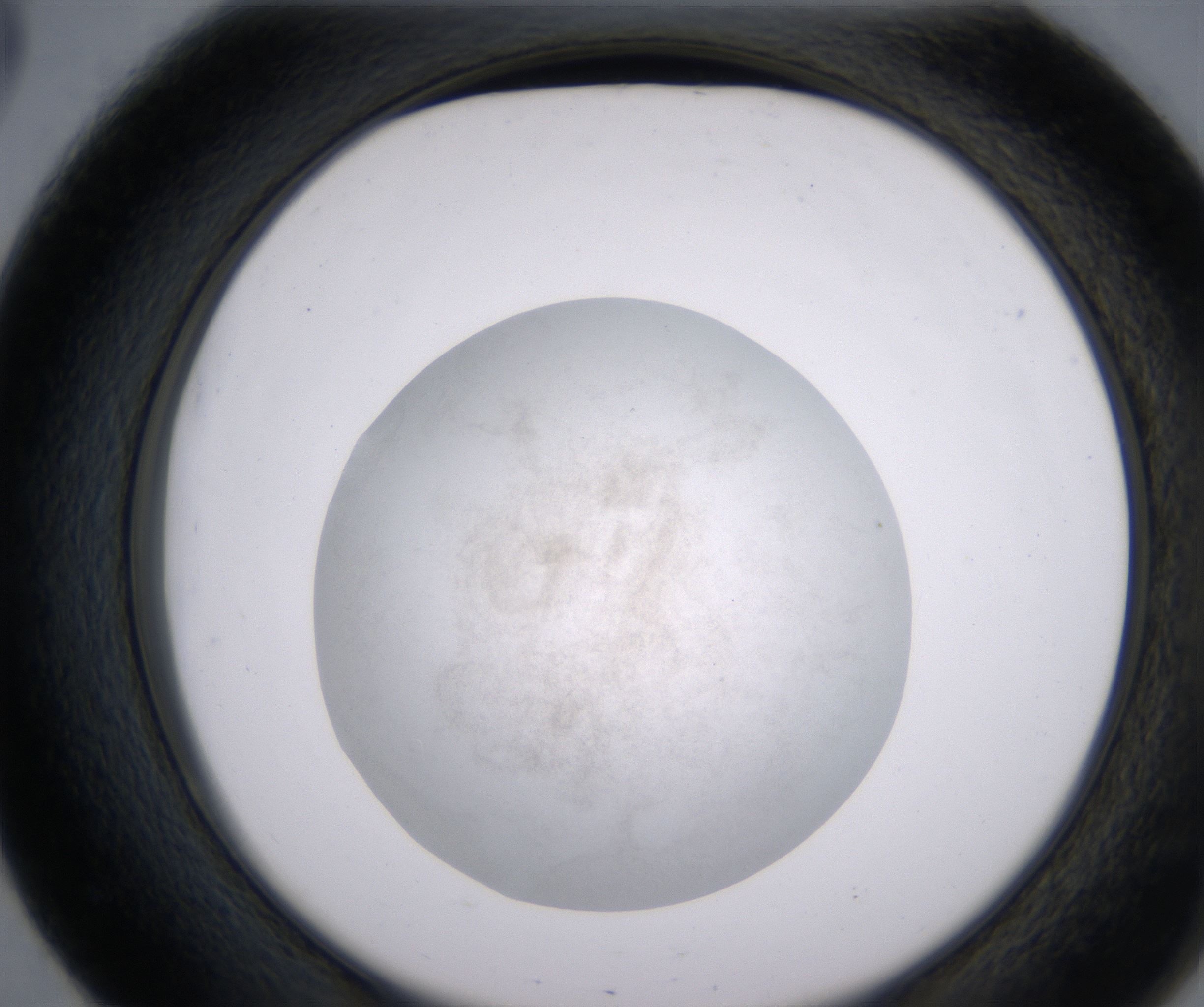 E3_HighResolution_Precipitate_2.jpg