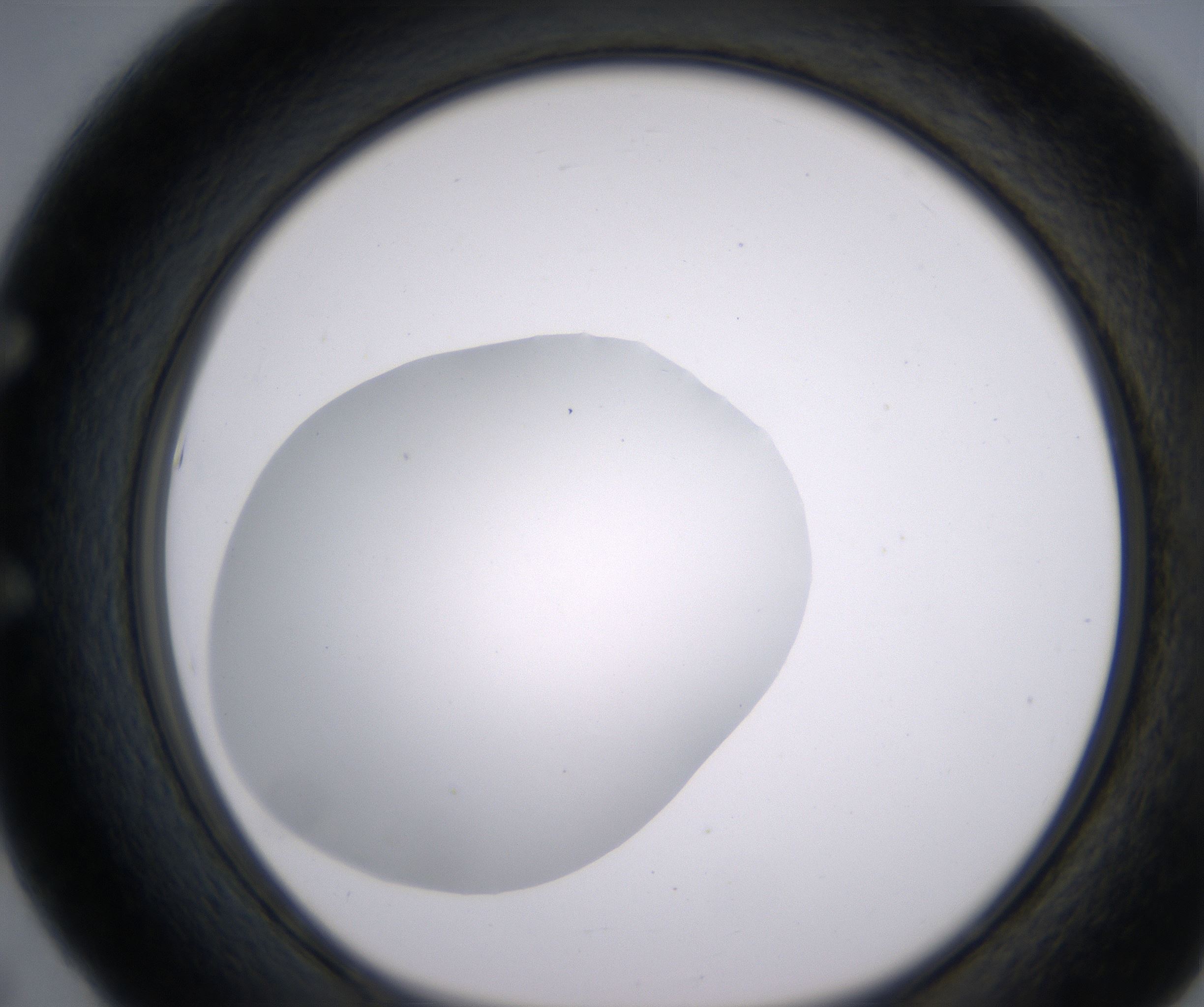 E5_HighResolution_Clear_1.jpg