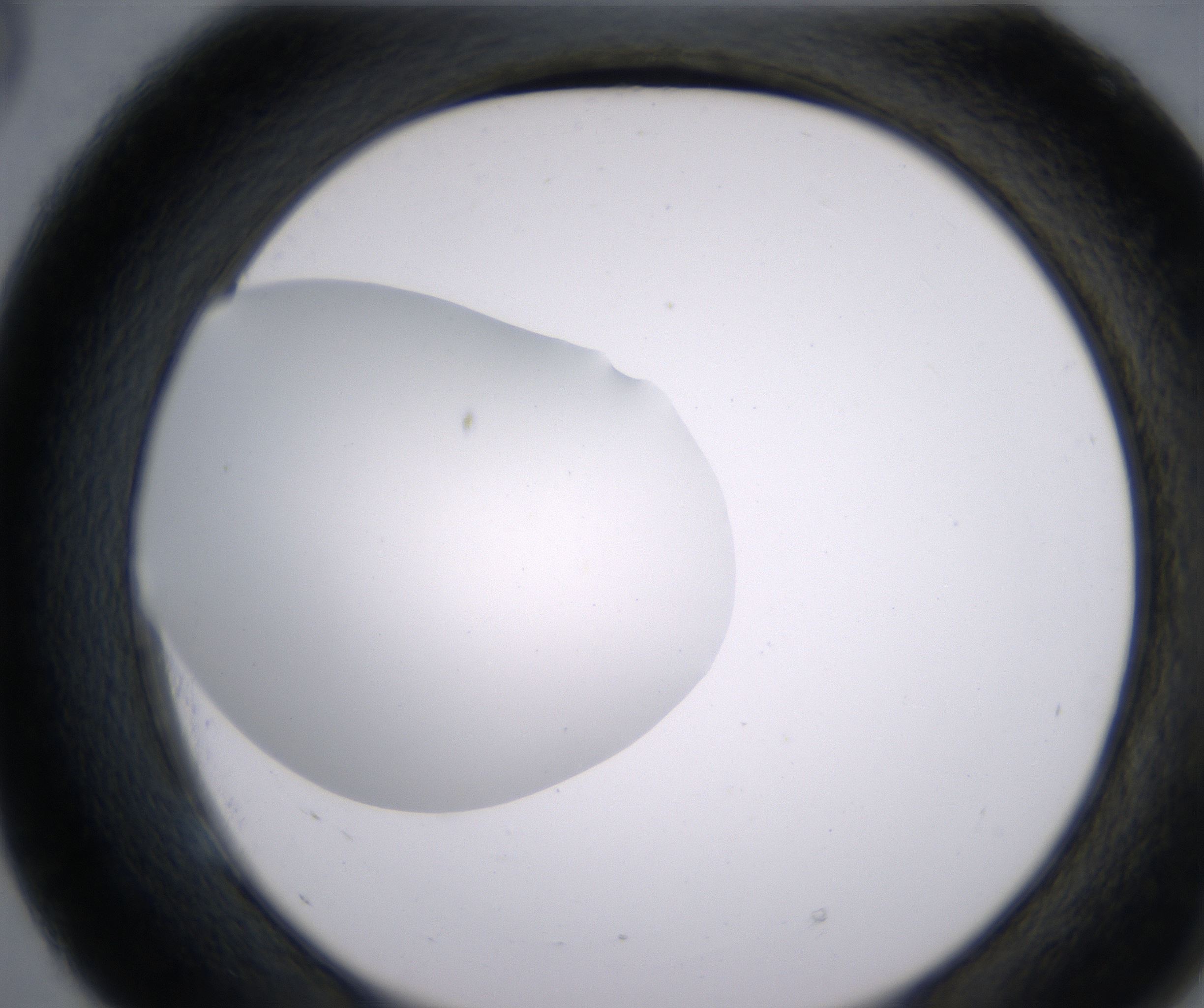 E5_HighResolution_Clear_2.jpg
