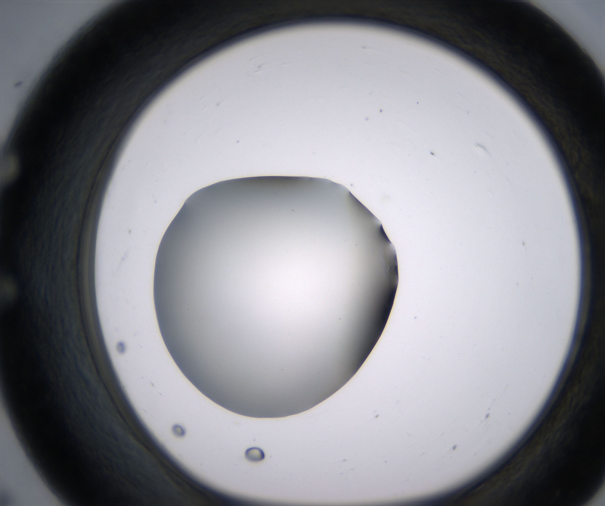 E7_HighResolution_Clear_1.jpg