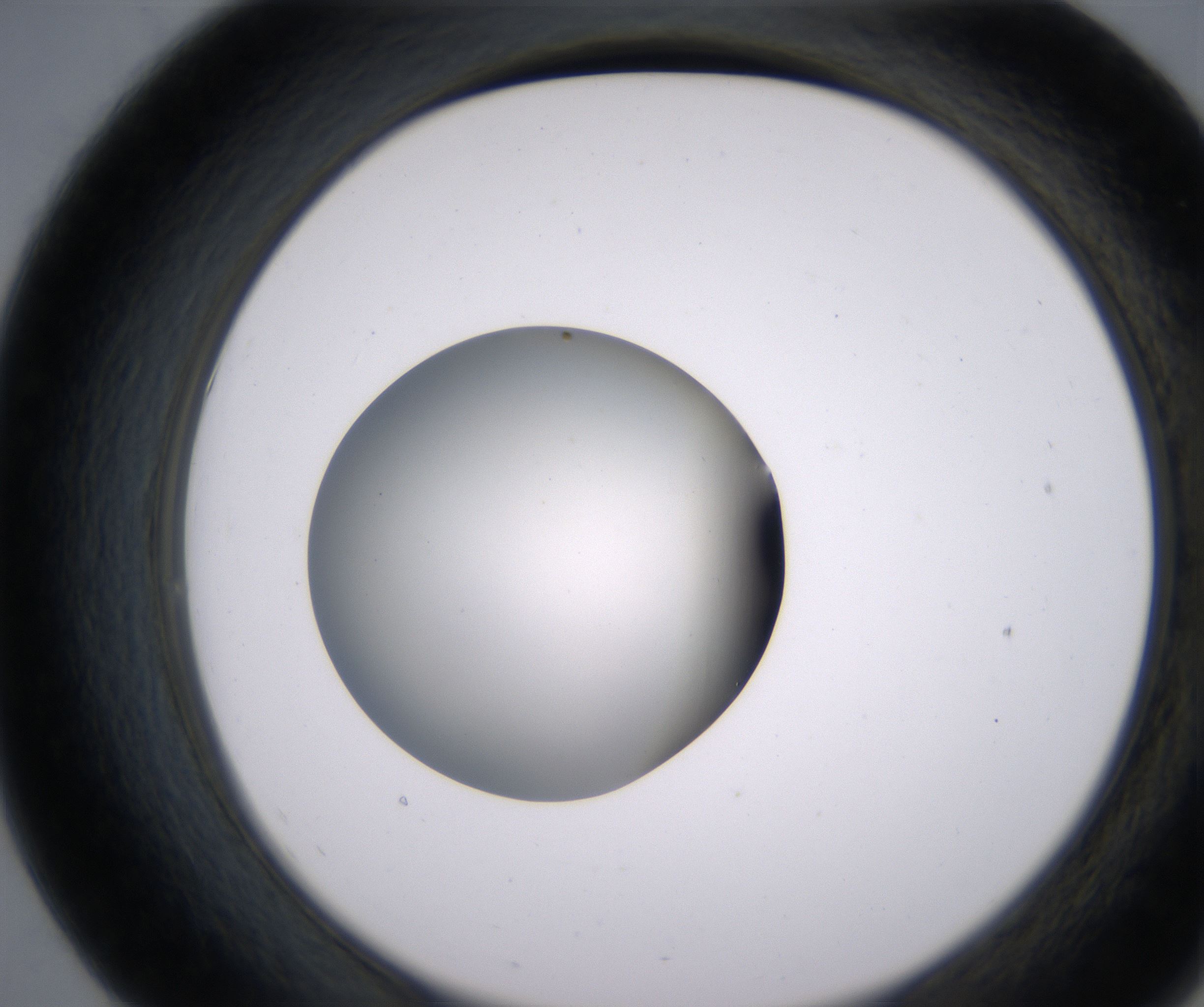 E7_HighResolution_Clear_2.jpg