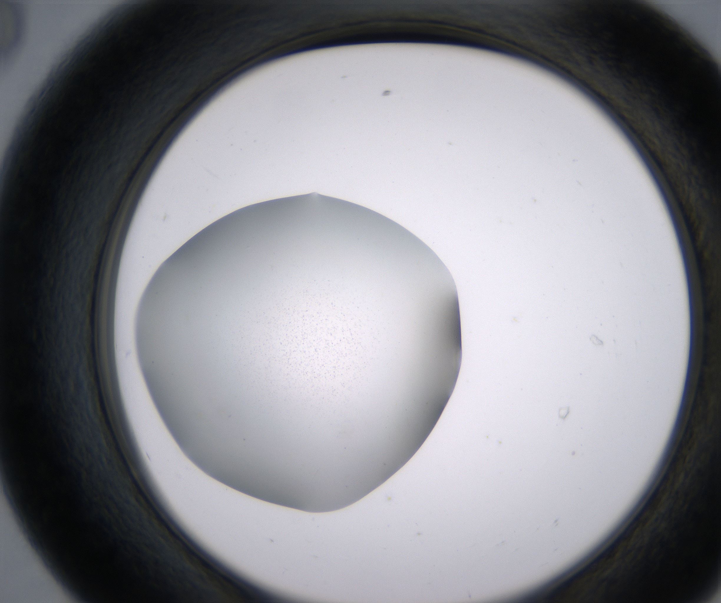 E8_HighResolution_Precipitate_2.jpg