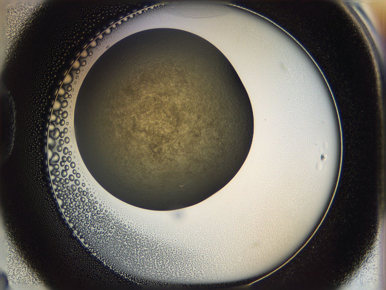 05k0_D4_ImagerDefaults_3.jpg
