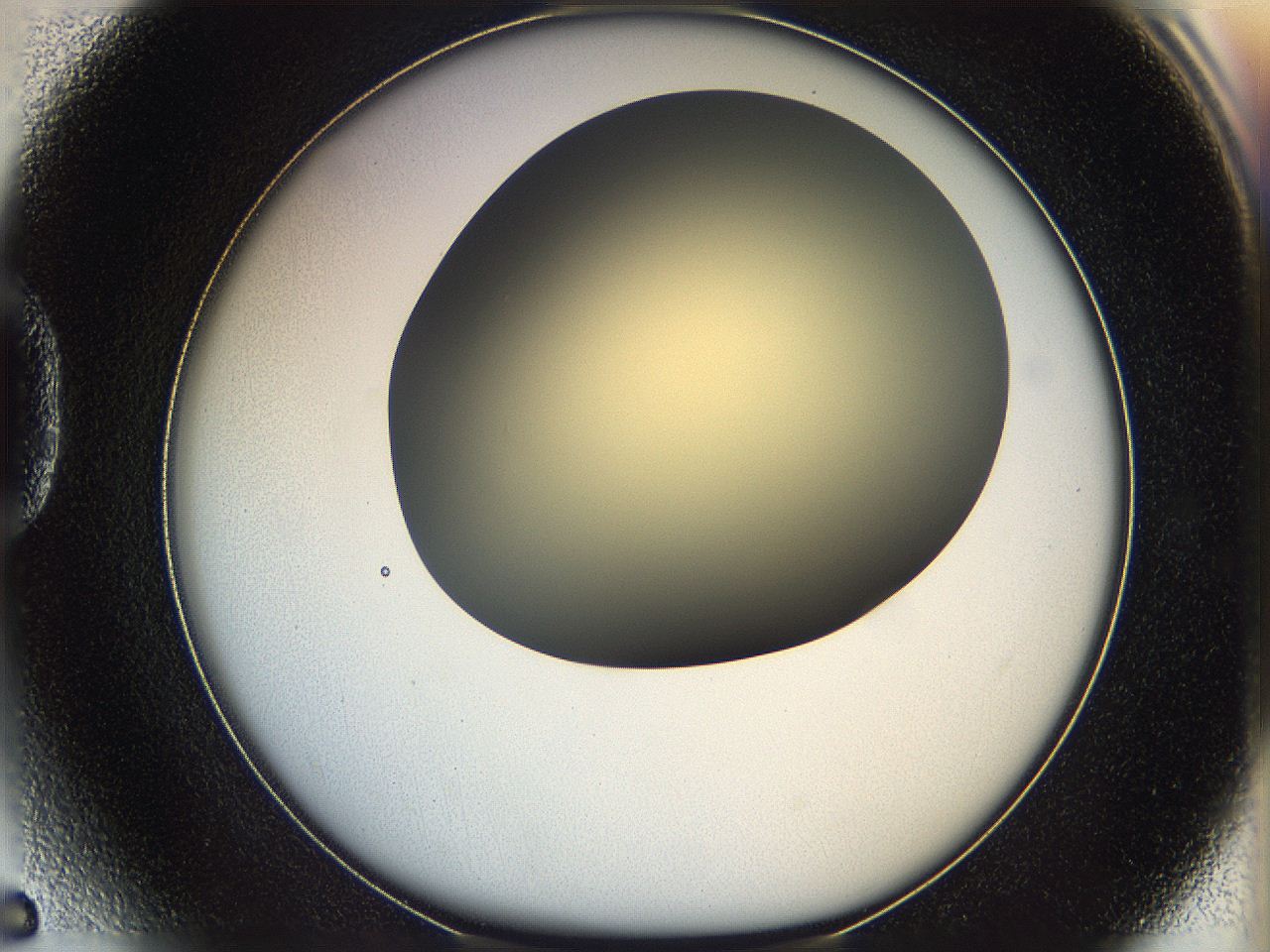 05k0_D5_ImagerDefaults_0.jpg