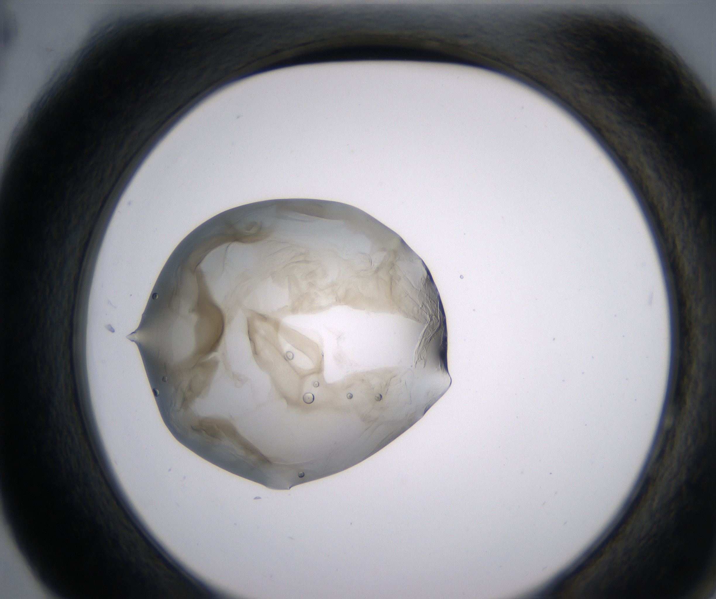 F4_HighResolution_Precipitate_2.jpg