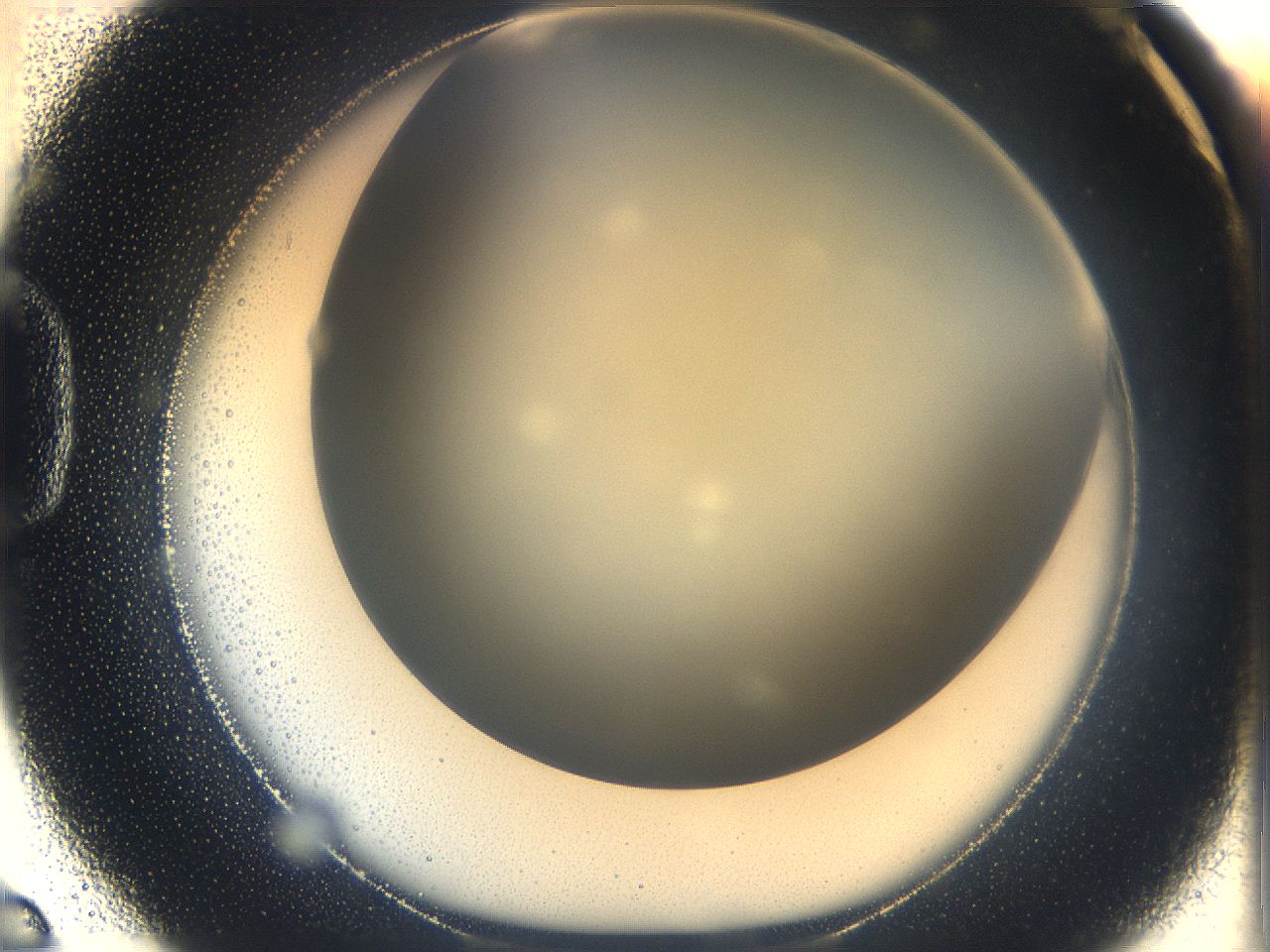05k0_D6_ImagerDefaults_0.jpg