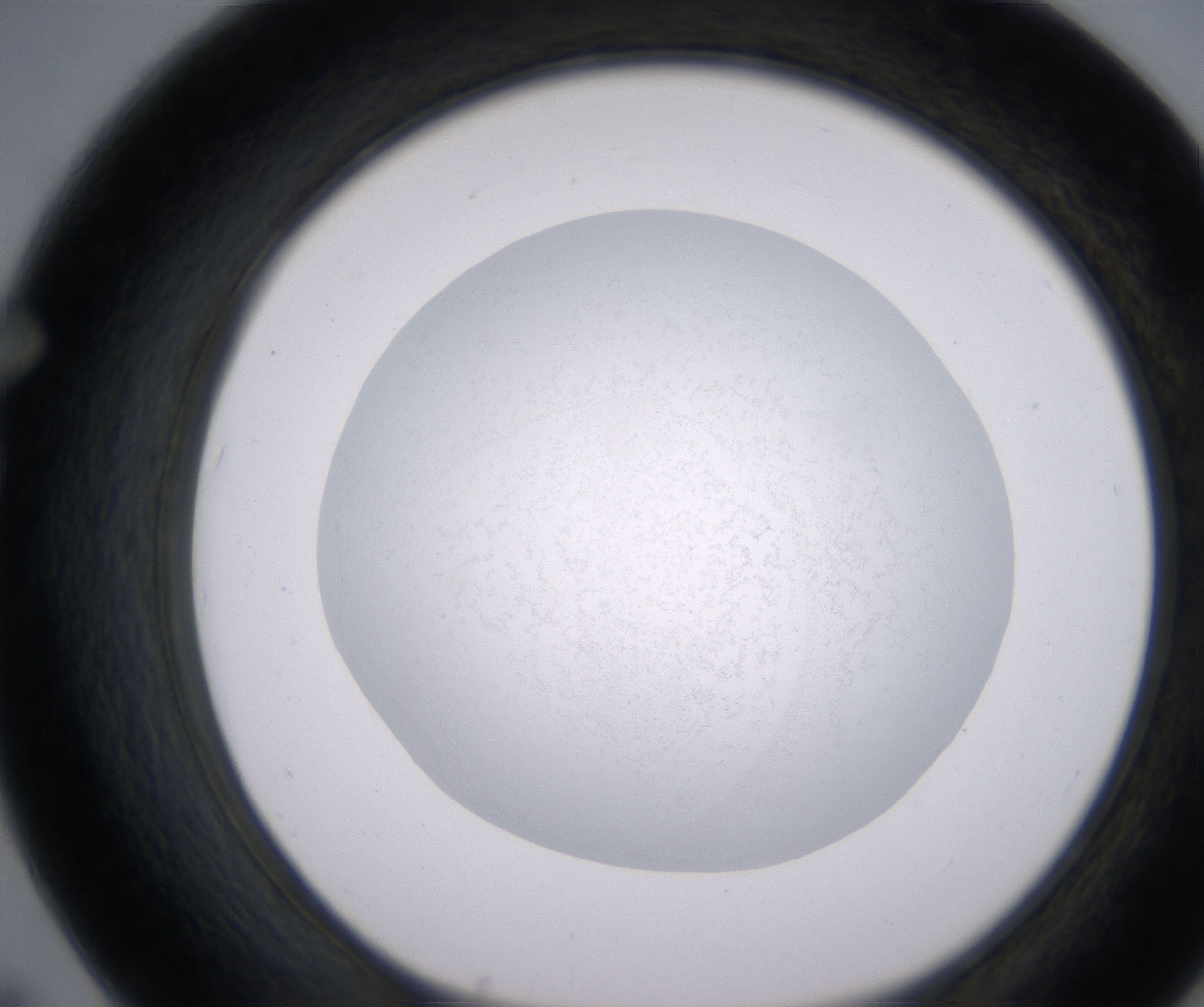 F7_HighResolution_Precipitate_1.jpg
