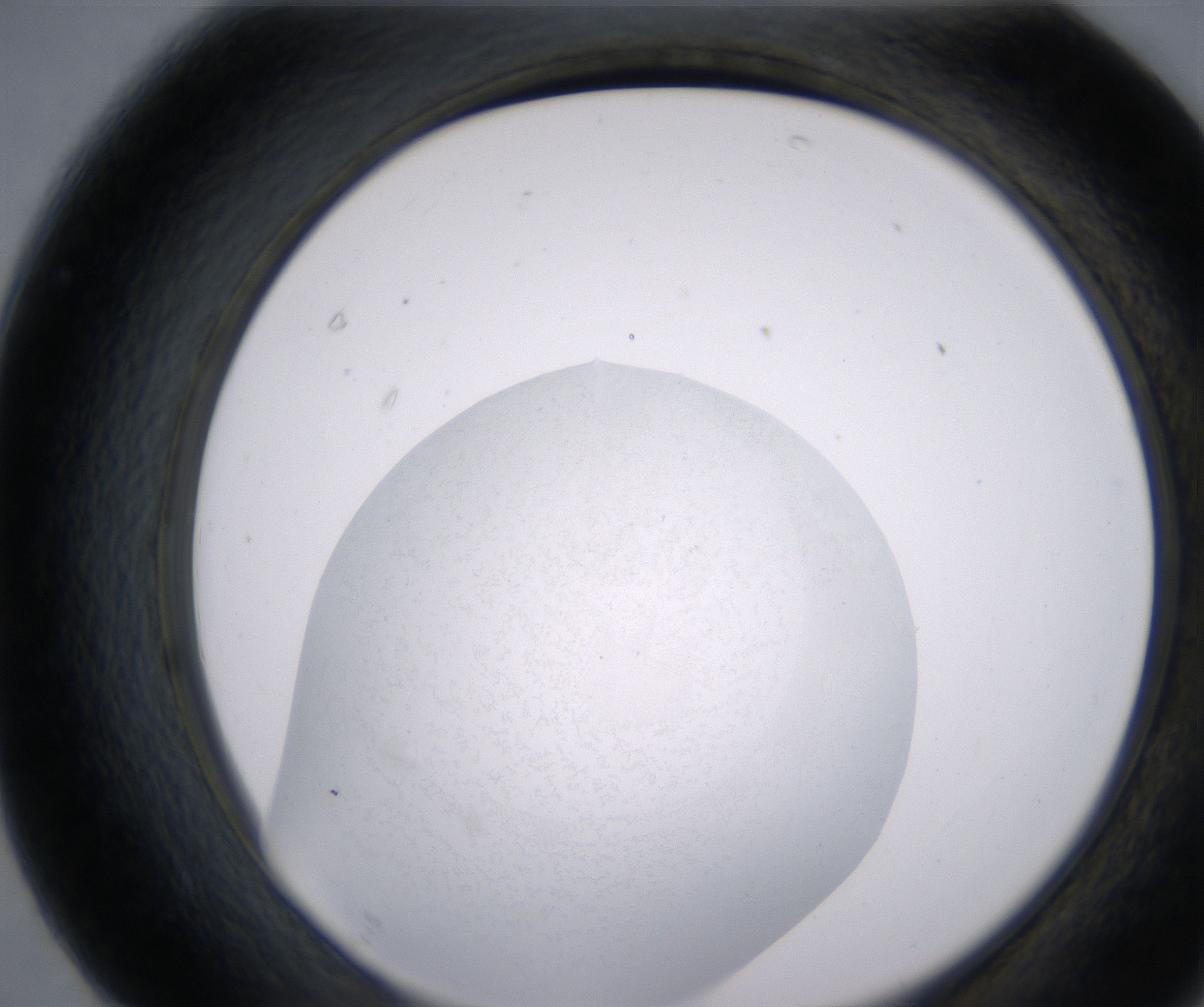 F7_HighResolution_Precipitate_2.jpg