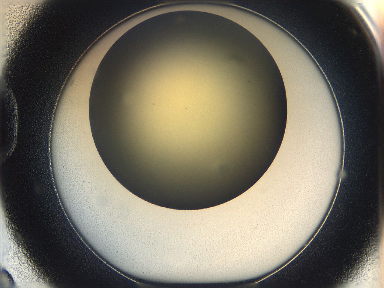 05k0_D8_ImagerDefaults_0.jpg